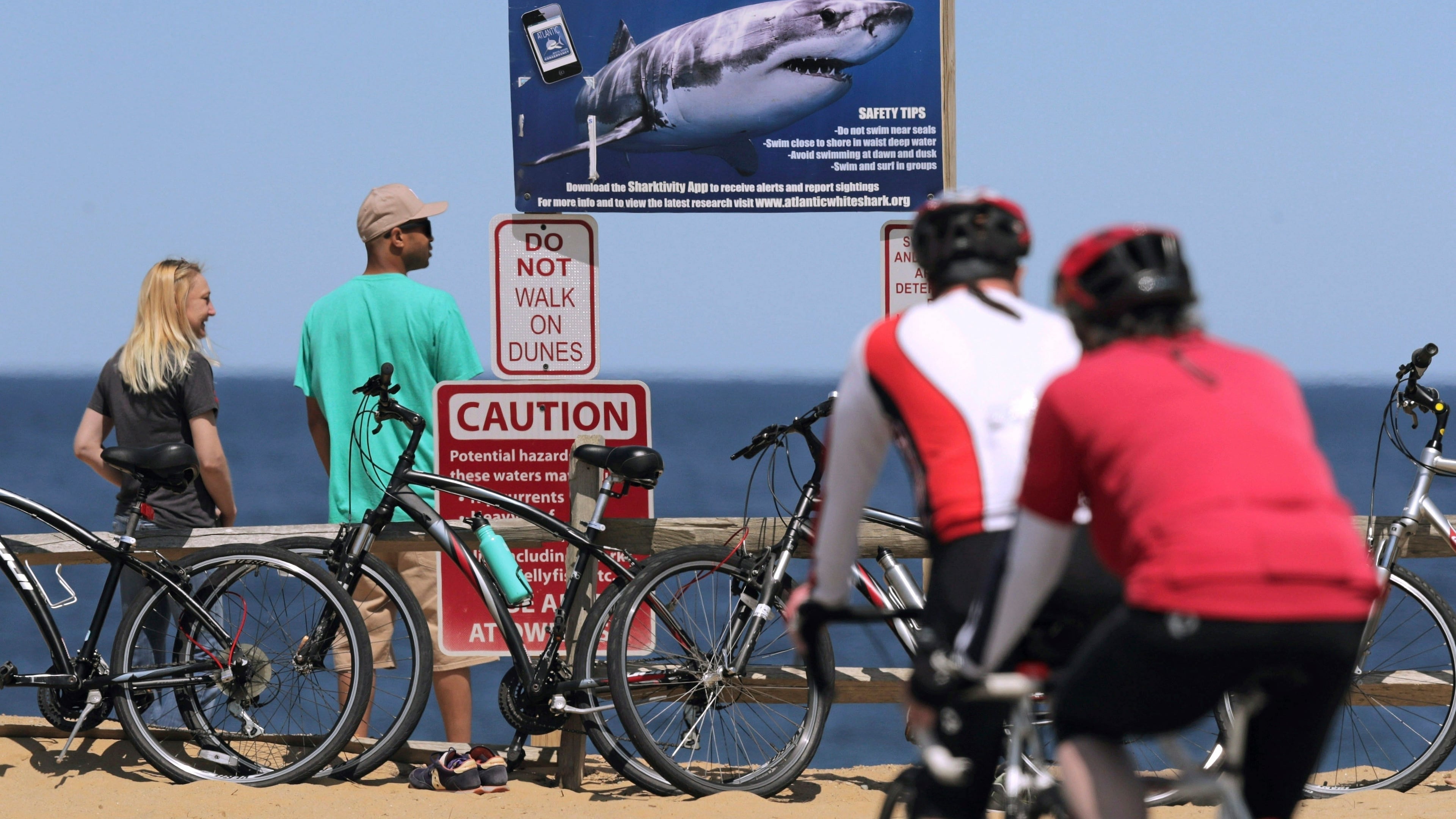 FILE - A sign warns beachgoers about sharks at Lecount Hollow Beach May 22, 2019 in Wellfleet, Mass. (AP Photo/Charles Krupa, File)