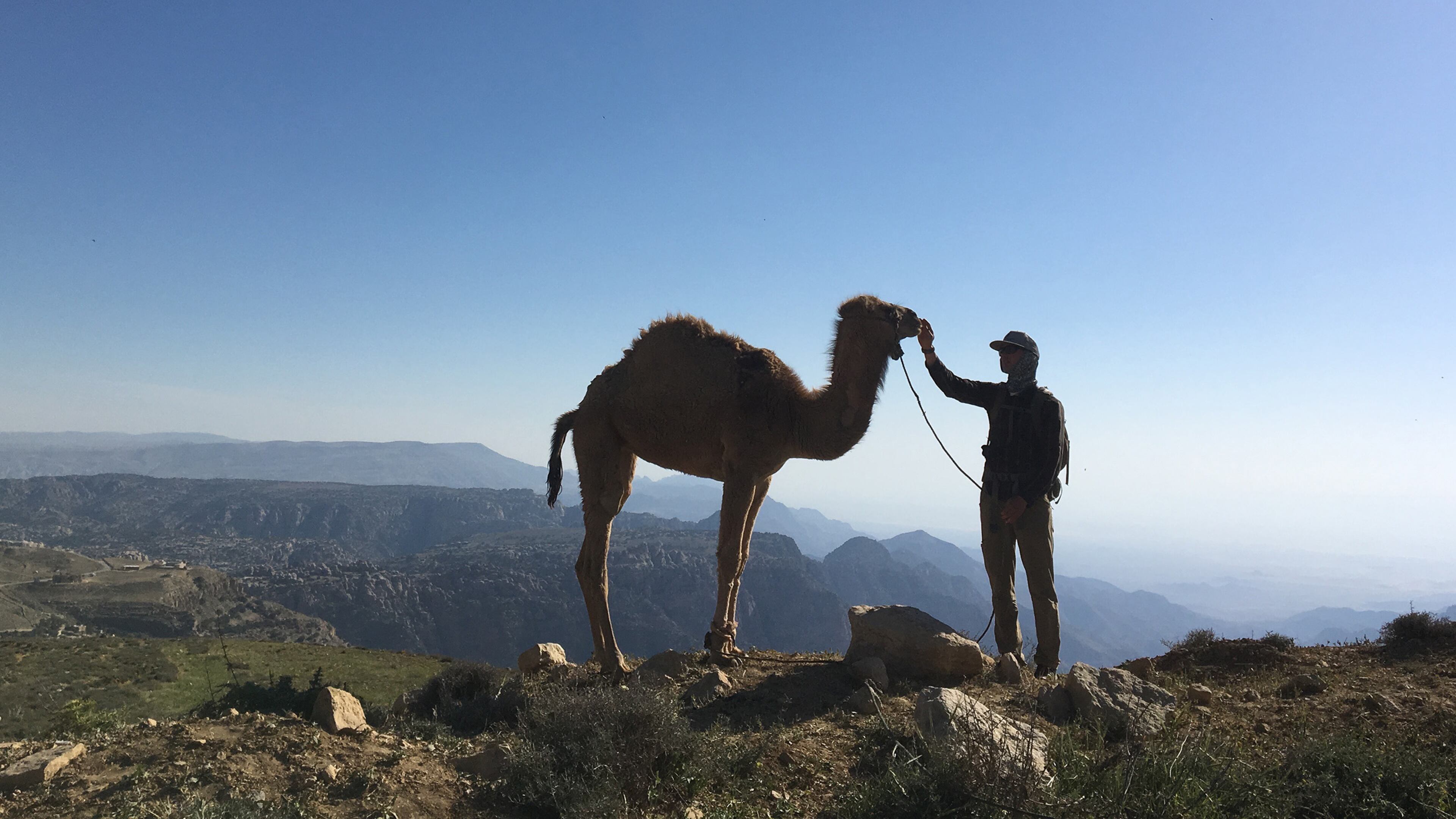 A hiker makes friends with a camel near the historic Ottoman village of Dana. (Andrew Evans/Chicago Tribune/TNS)