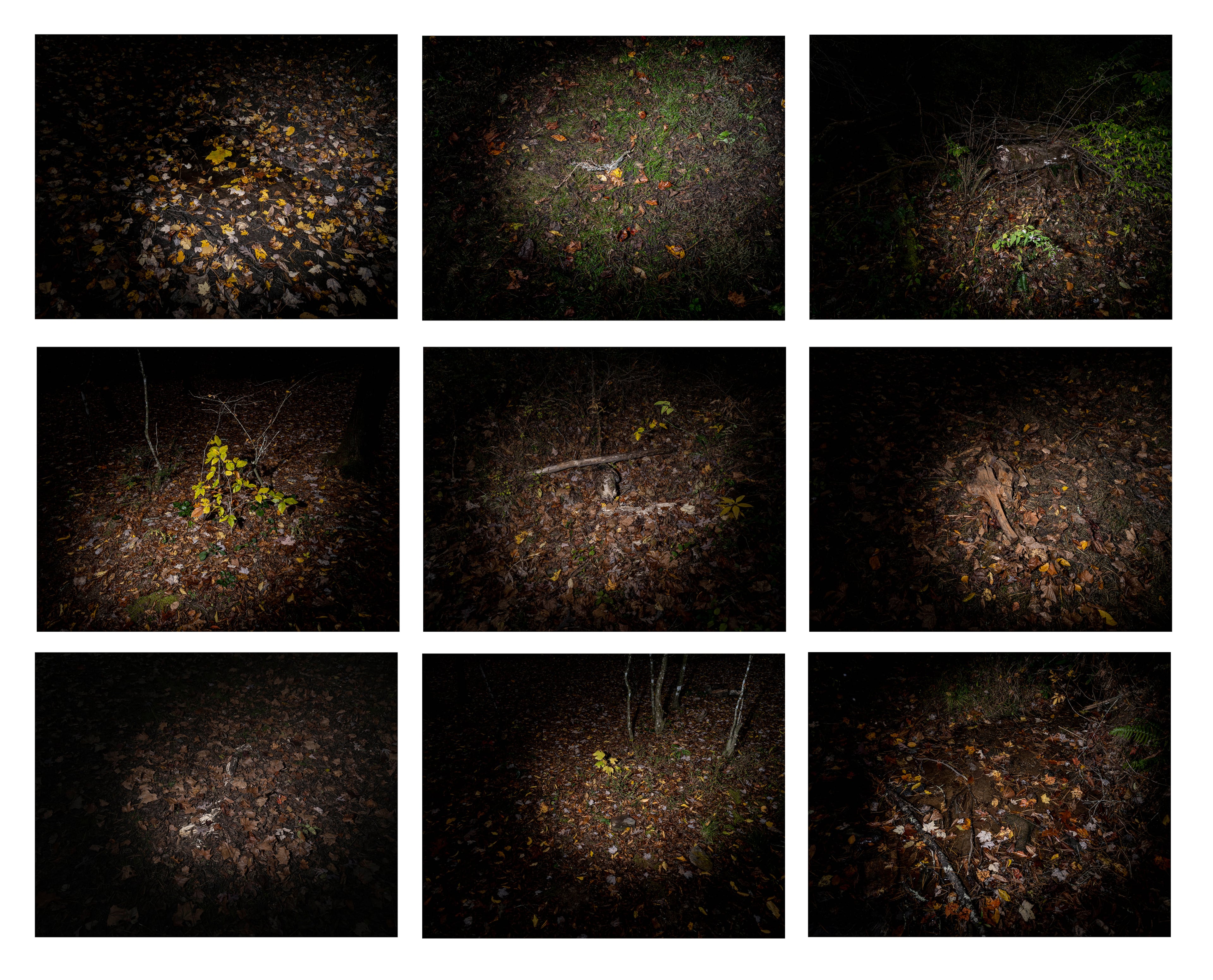 Raymond Thompson Jr., an assistant professor of photojournalism at the University of Texas in Austin, has his work "Survival Mode" on display in the "With Rapture and Astonishment" exhibit at the University of Georgia Circle Gallery from June 24 through Sept. 12.