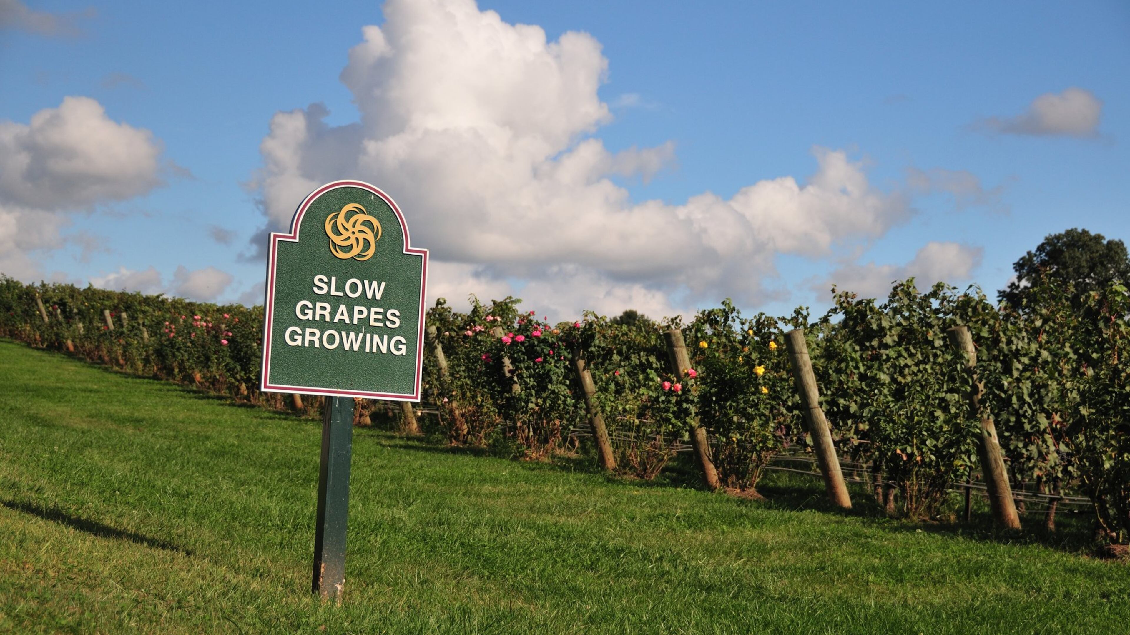 A new Smyrna law on wineries will allow the licensing of wineries to join breweries, each requiring a $1,700 license. AJC file photo