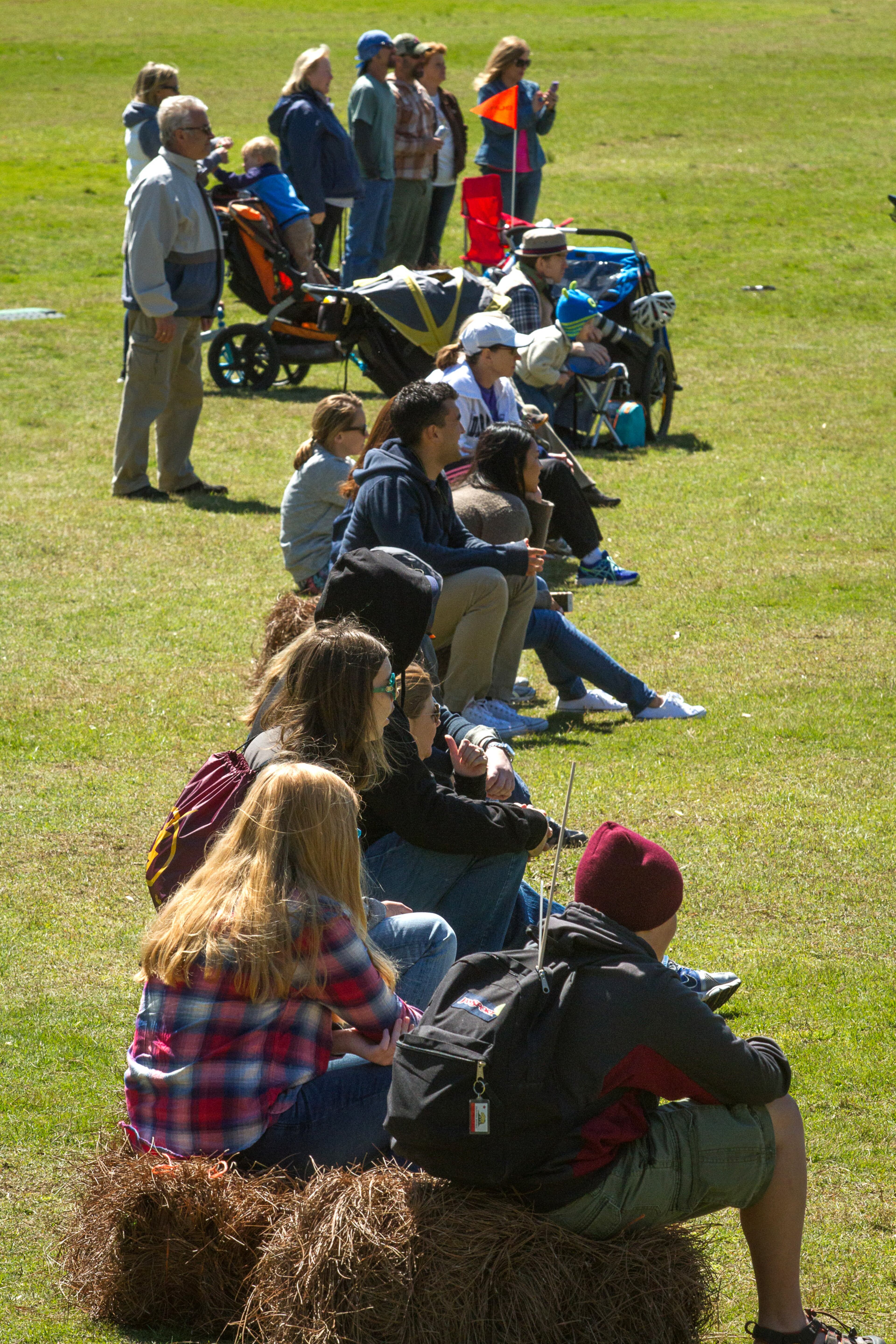 Spectators watch the 2016 Disc Dog Southern Nationals Qualifier tournament at Piedmont Park in Midtown Saturday April 9, 2016. STEVE SCHAEFER / SPECIAL TO THE AJC