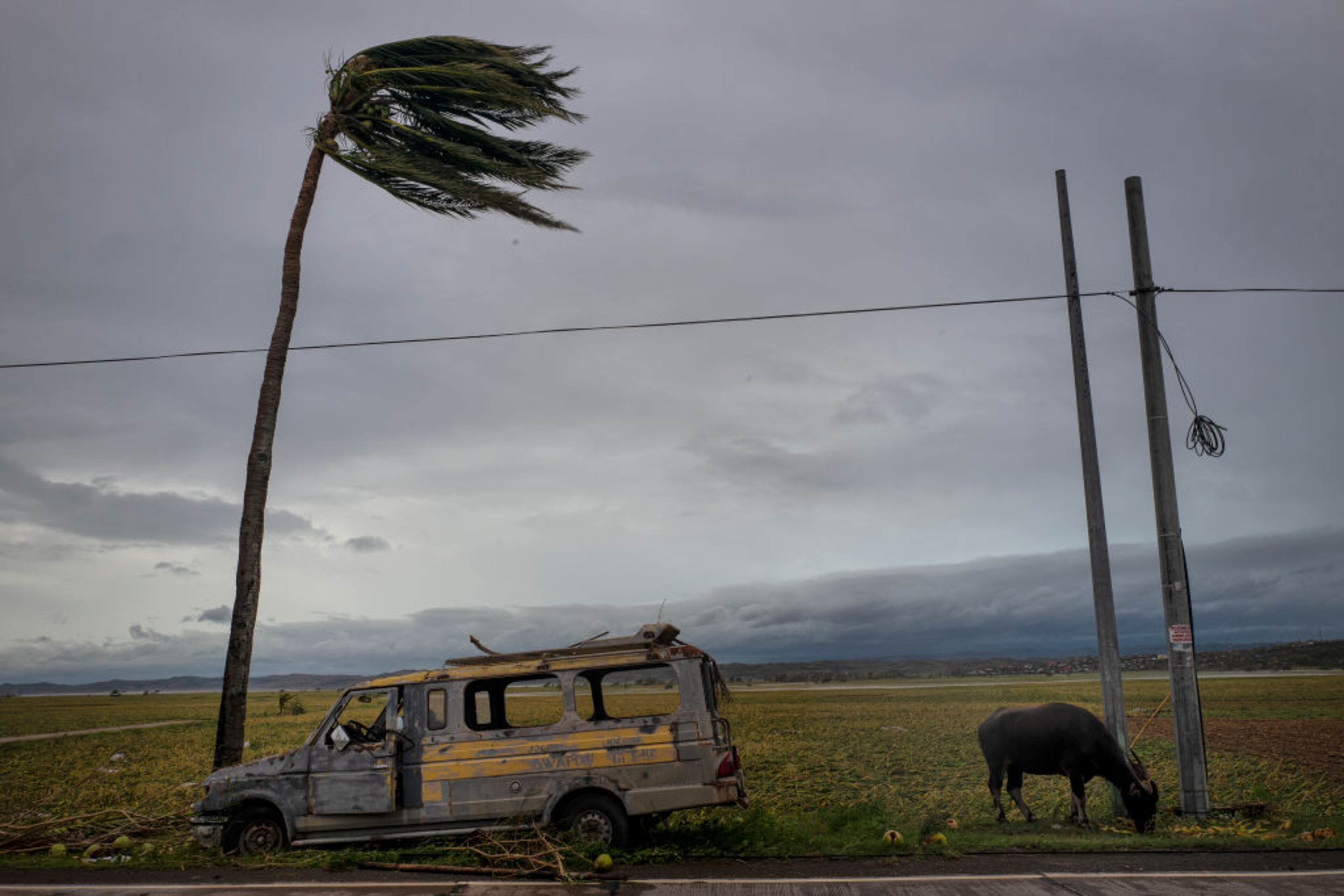 ALCALA, PHILIPPINES - SEPTEMBER 15: A scene of damaged crops follwoing the landfall of tyohoon Mangkhut on September 15, 2018 in Alcala, Philippines. Typhoon Mangkhut battered northern Philippines as it made landfall Saturday morning leaving at least five people dead and millions of pesos in damages. (Photo by Jes Aznar/Getty Images)