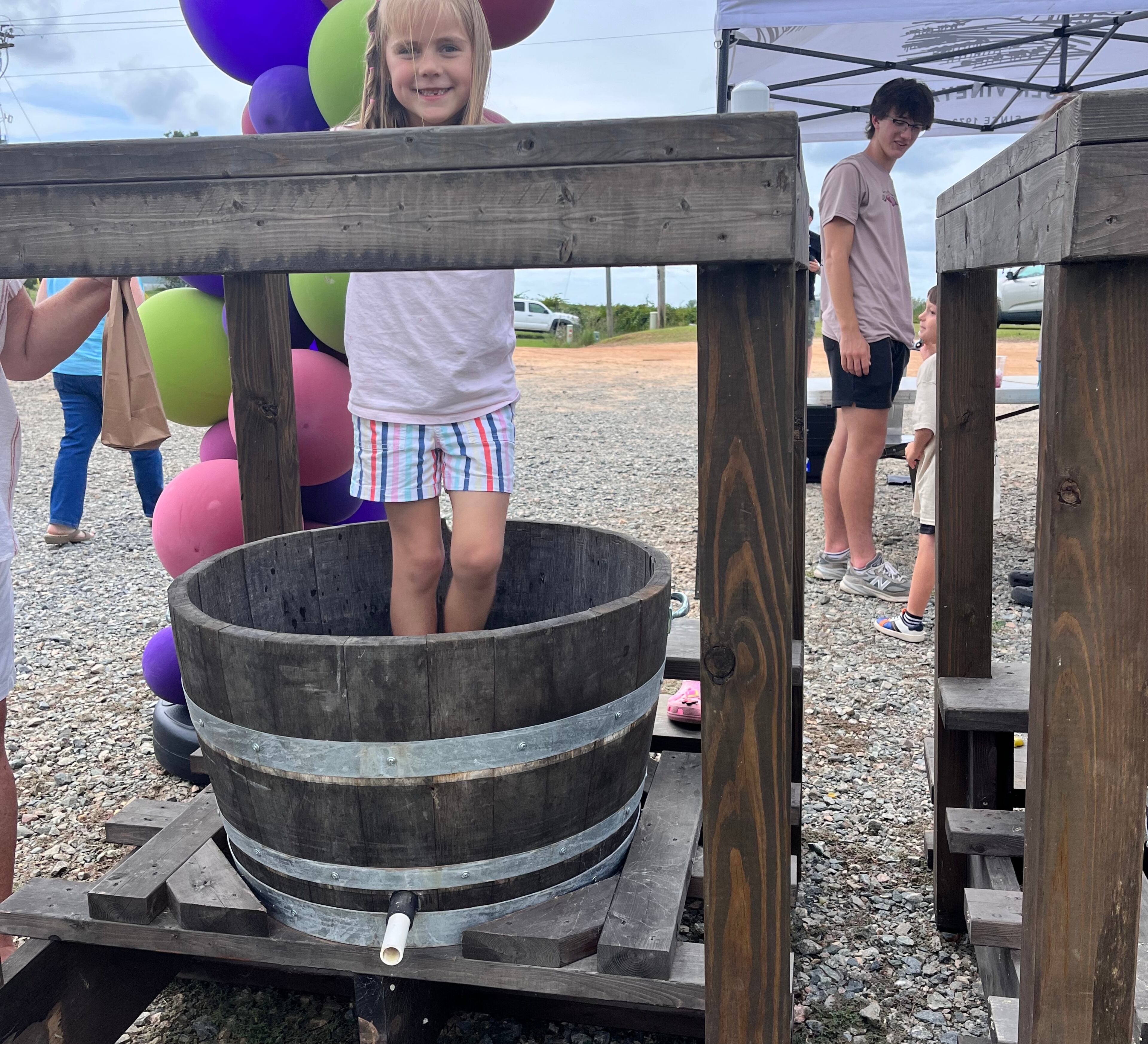 Wine lovers will be heading on down to Paulk Vineyards in Wray for the Georgia Muscadine Festival this summer.
Courtesy of Paulk Vineyards