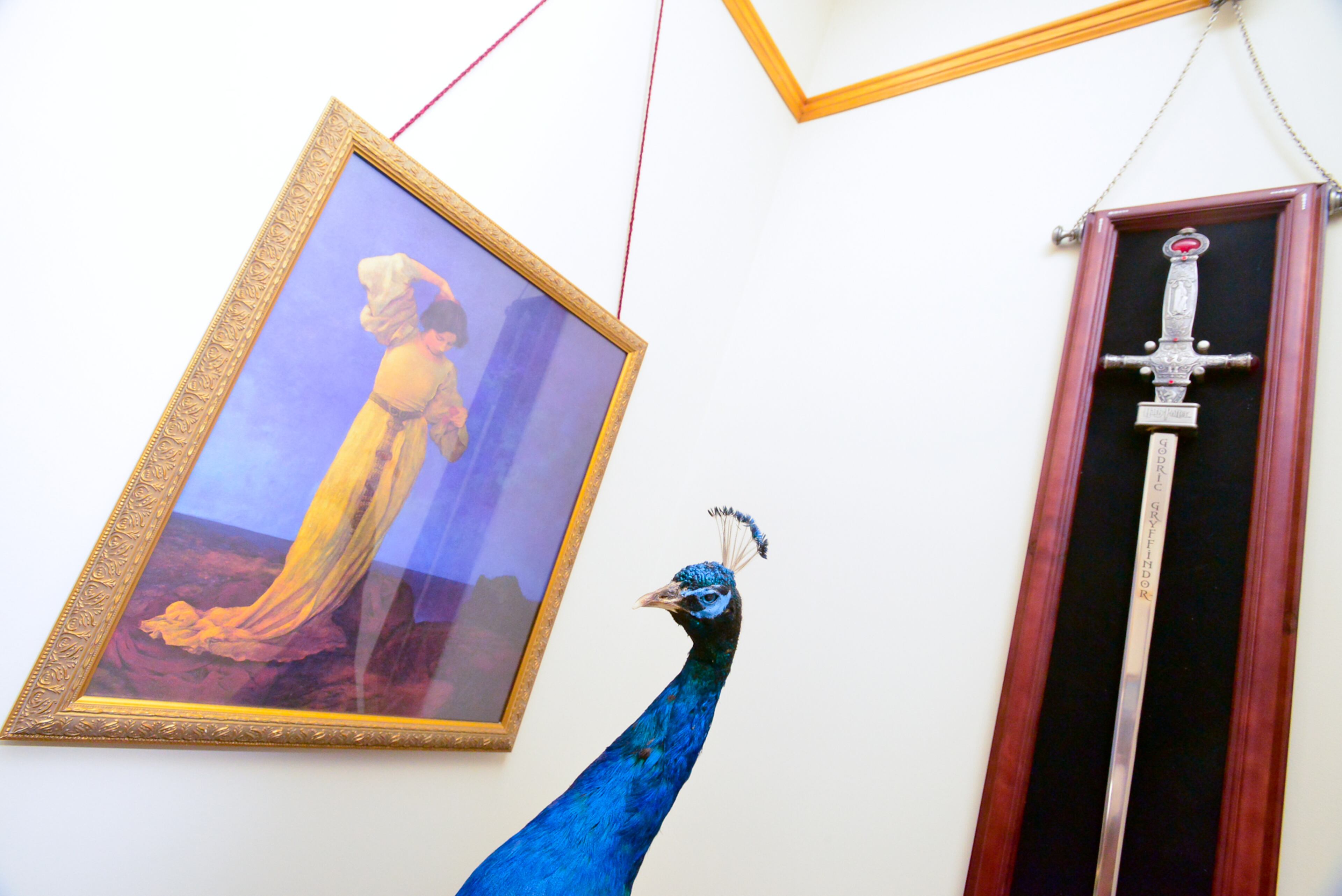 The "Harry Potter" fans made sure to display their sword of Gryffindor in the library of their home, opposite a print by Maxfield Parrish, an American painter in the early 1900s. Their research showed that the stuffed peacock would have been typical in a Victorian home, and Mike Dufano found one on eBay for his wife, Carolyn.