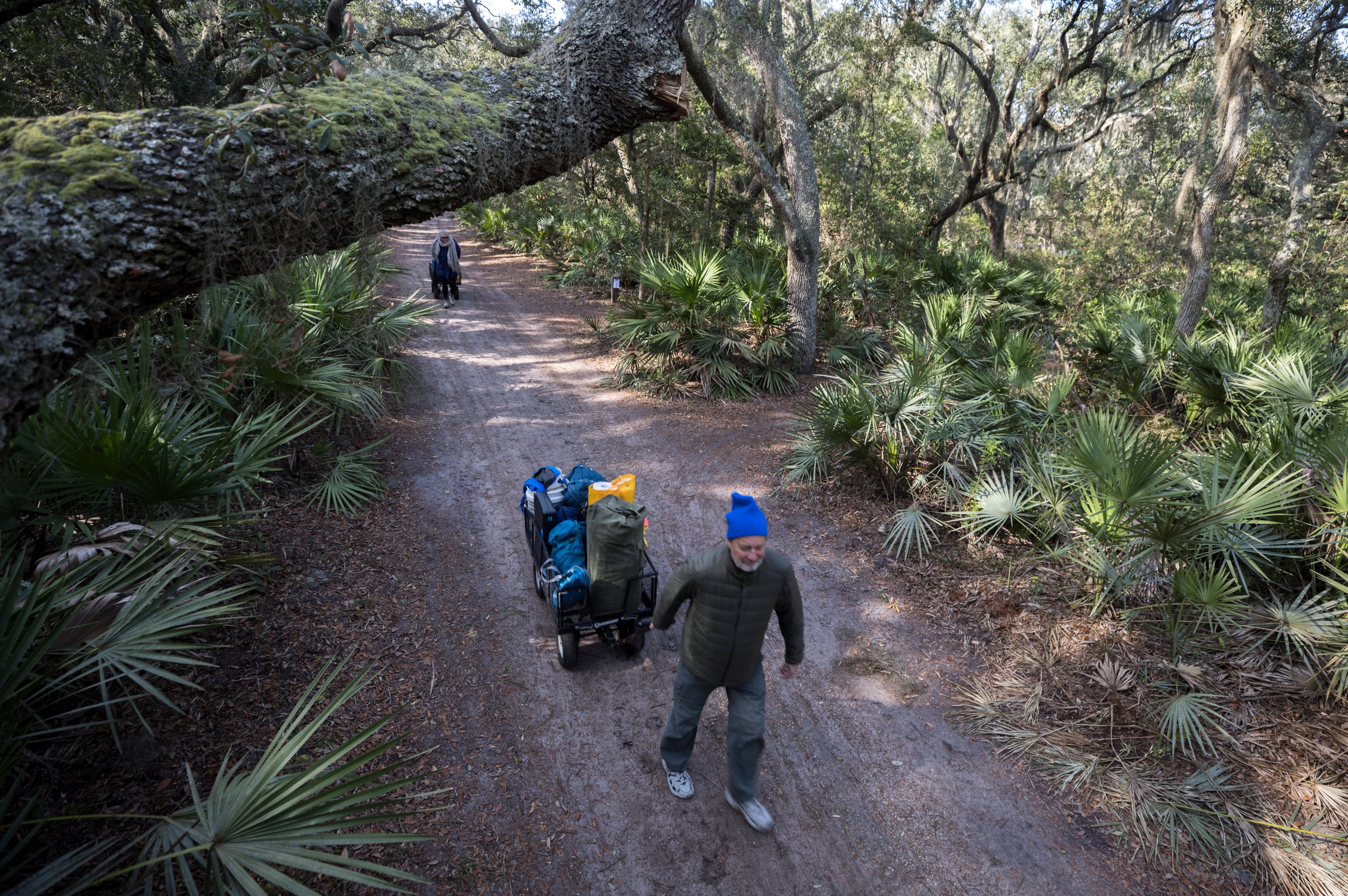 A NEW VISITOR PLAN THAT'S BEEN PROPOSED FOR THE CUMBERLAND ISLAND NATIONAL SEASHORE