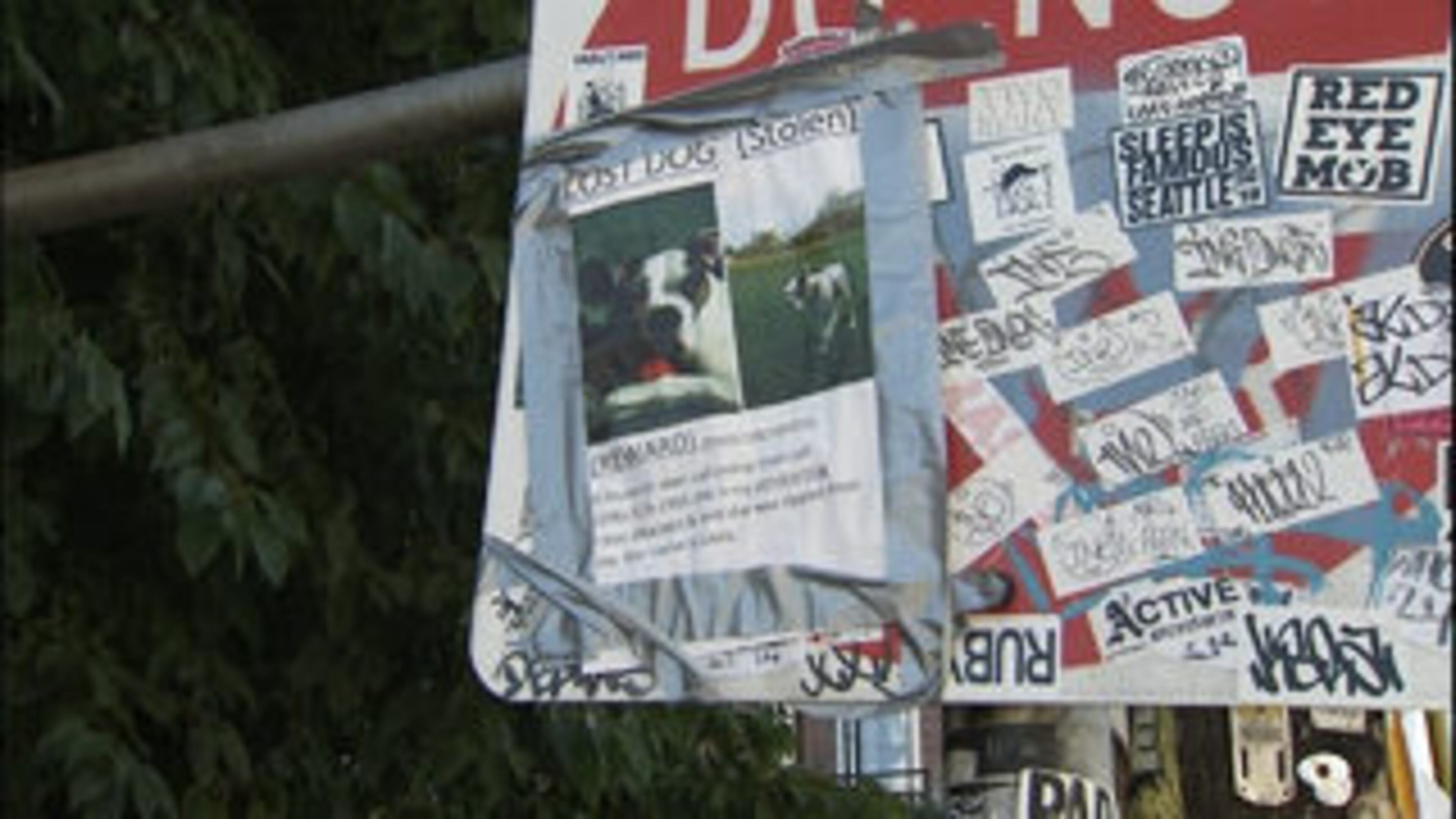 A Seattle man says his service dog was stolen after he was attacked in a grocery store in the city's Capitol Hill neighborhood.