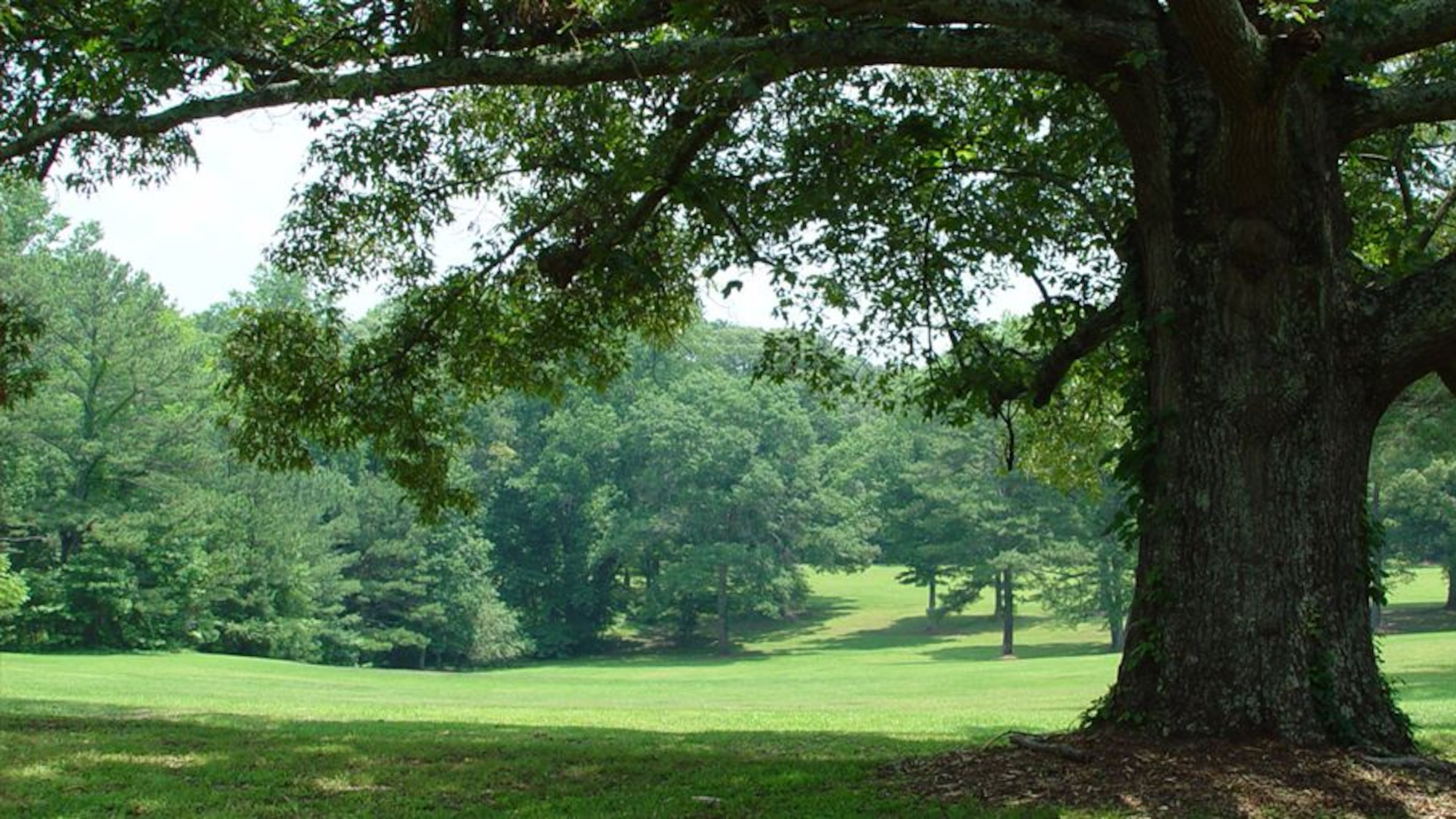 At the request of Cobb District 4 Commissioner Lisa Cupid, a decision on the new Furr Family Park’s master plan has been postponed indefinitely. (Courtesy of Cobb County)