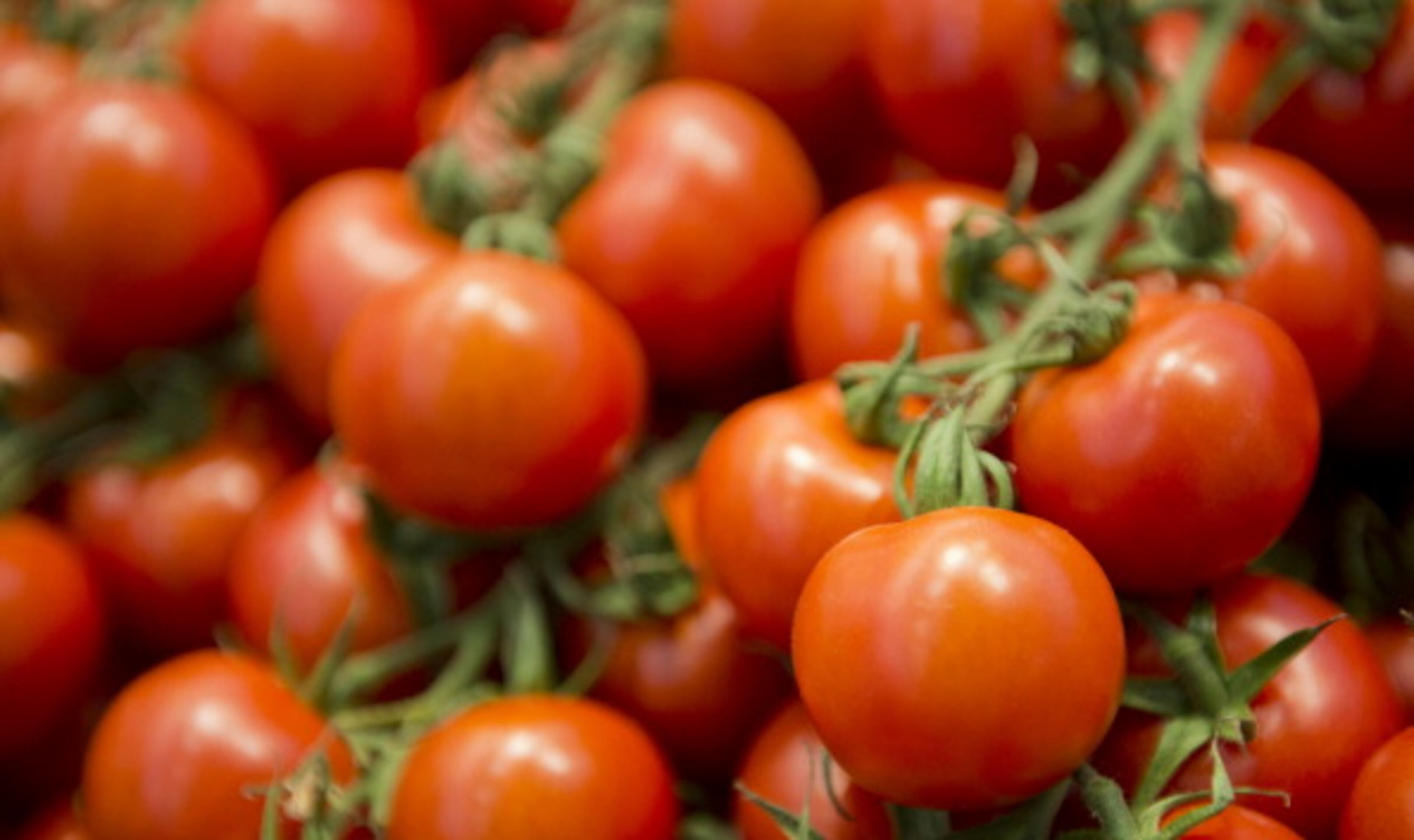 The nonprofit advocacy group, Environmental Working Group, recently released its 10th annual Dirty Dozen list -- a collection of the most pesticide-riddled produce on the market.