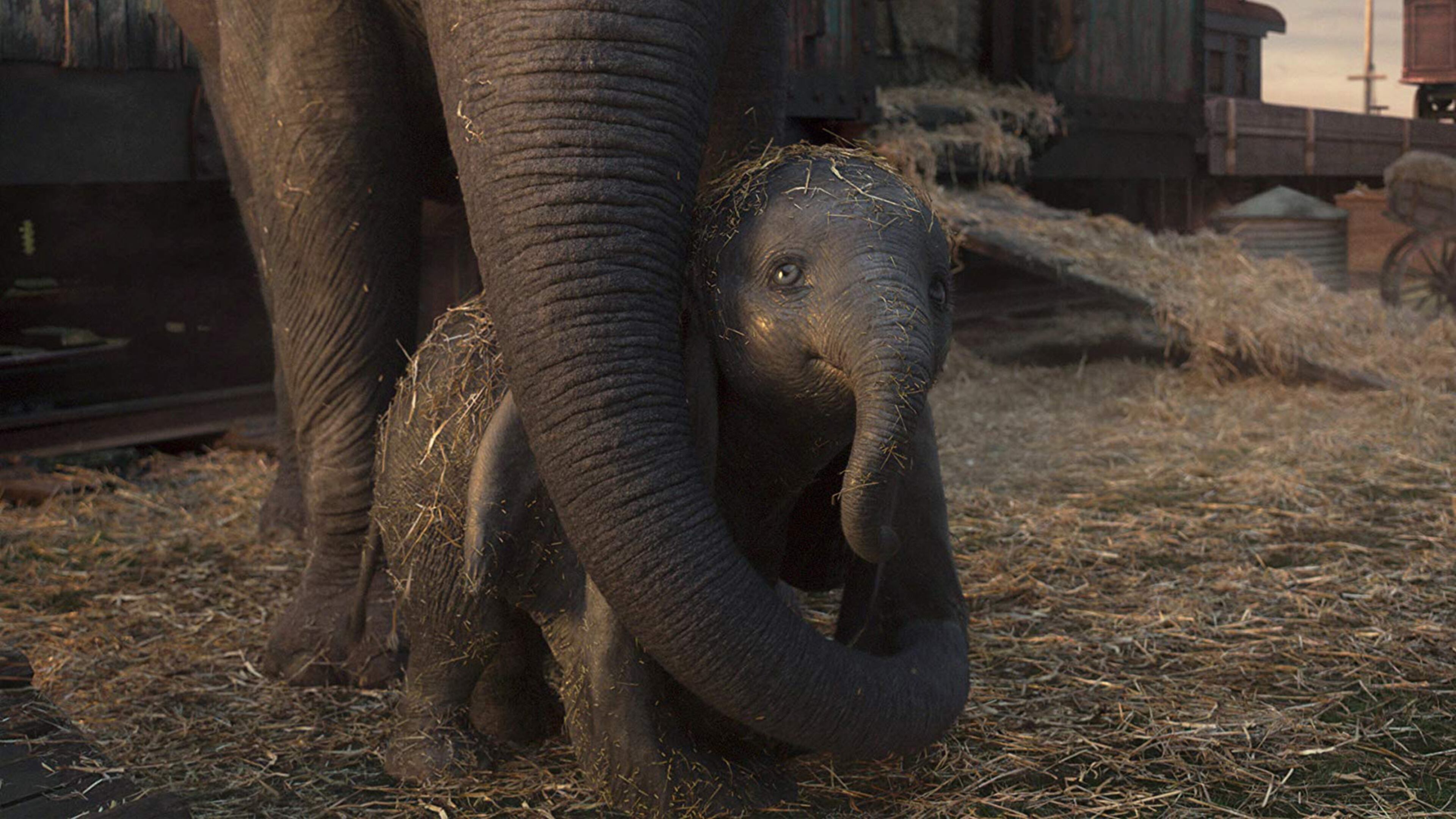 “Dumbo” opens today. Disney