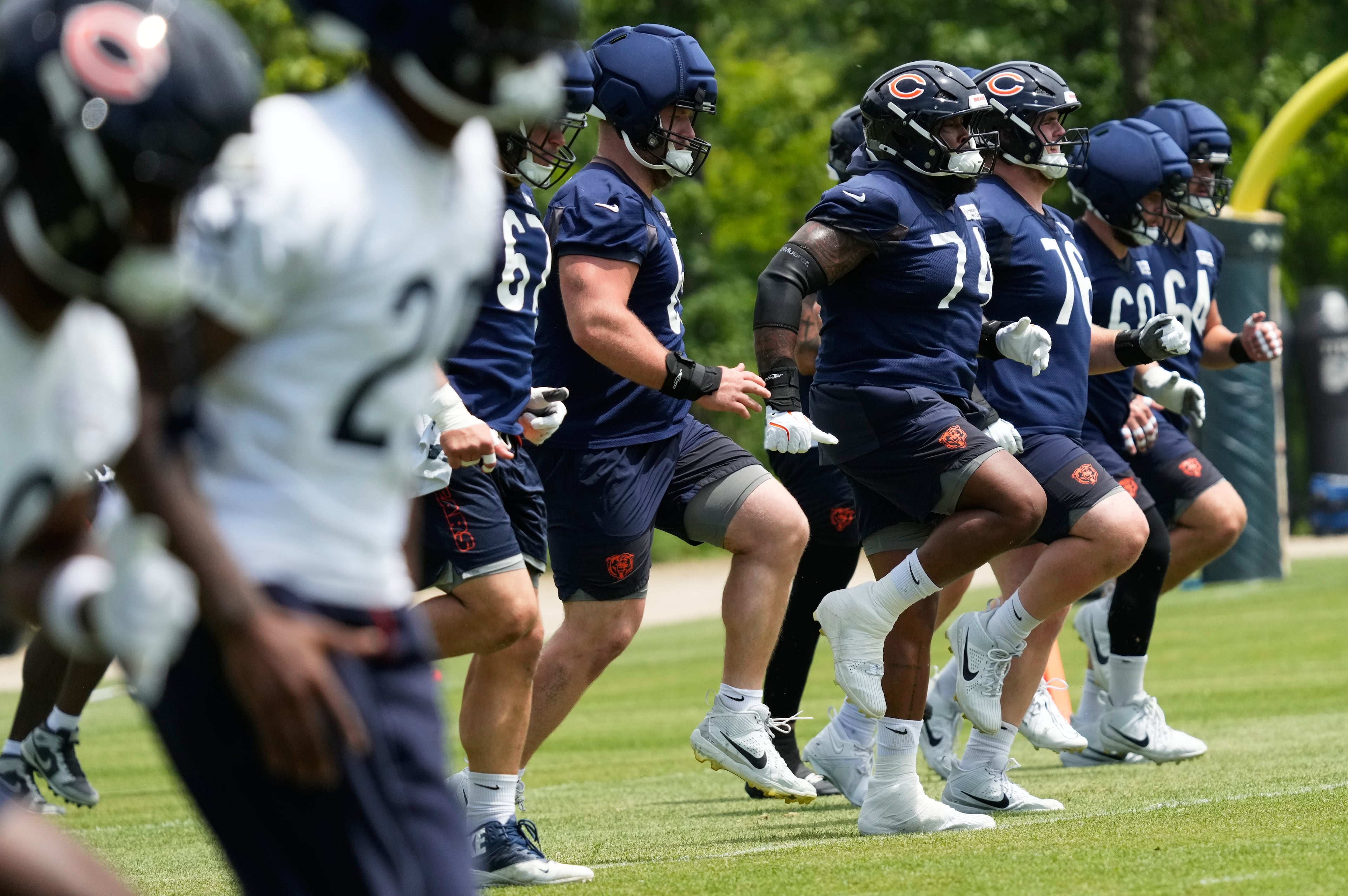 Bears Football