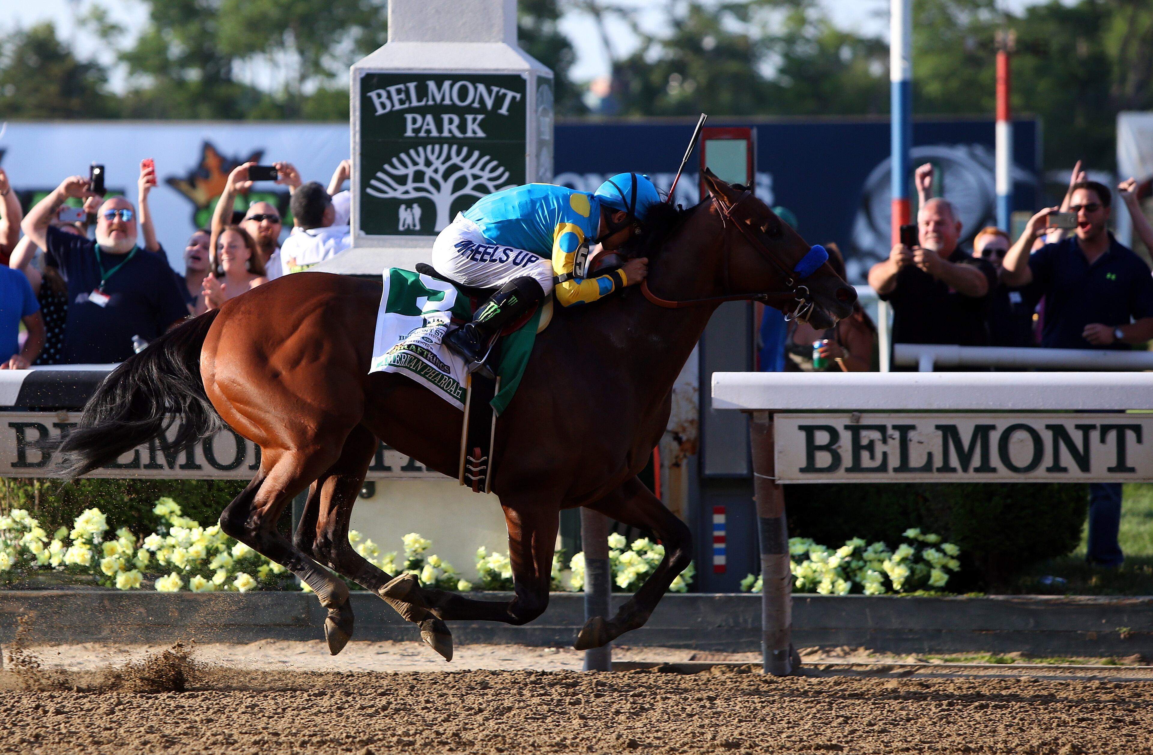 ELMONT, NY - JUNE 06: Victor Espinoza, celebrates atop American Pharoah #5, after winning the 147th running of the Belmont Stakes at Belmont Park on June 6, 2015 in Elmont, New York. With the wins American Pharoah becomes the first horse to win the Triple Crown in 37 years. (Photo by Travis Lindquist/Getty Images)