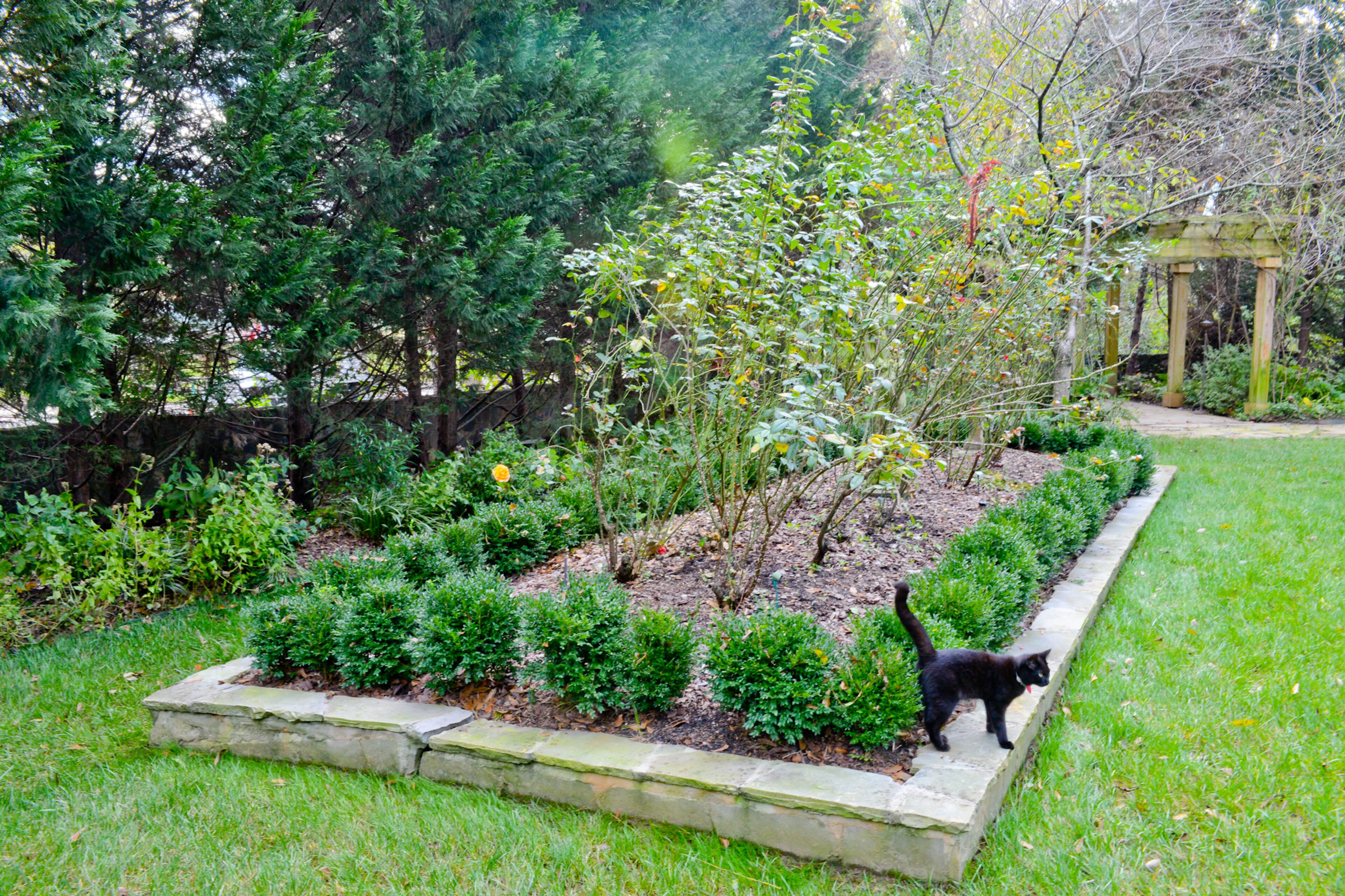 Their cat, Batman, often patrols the gardens of Keenan and Danielle Nix's East Lake property.