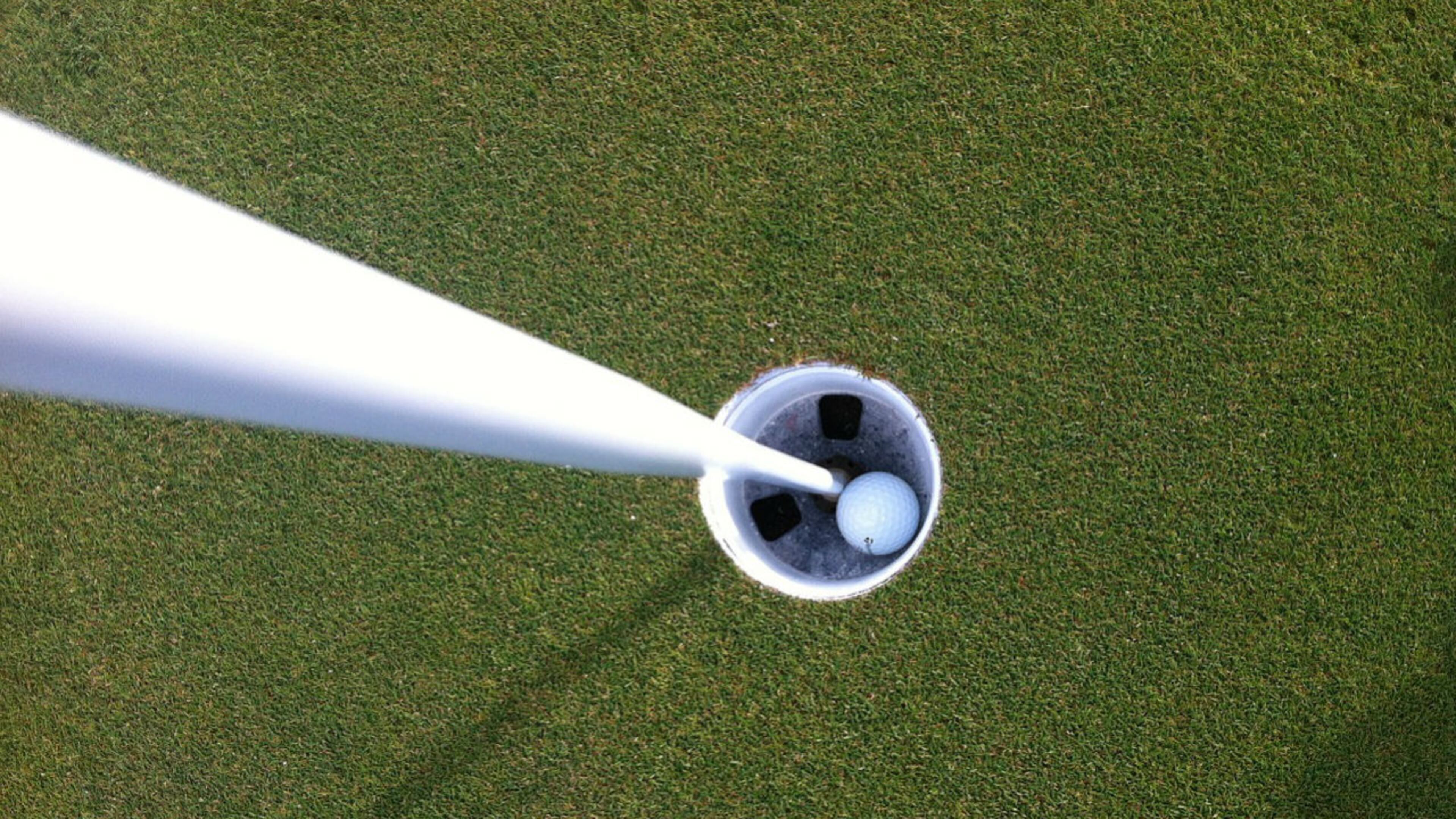 File photo. (Photo: cowangolf/Pixabay)