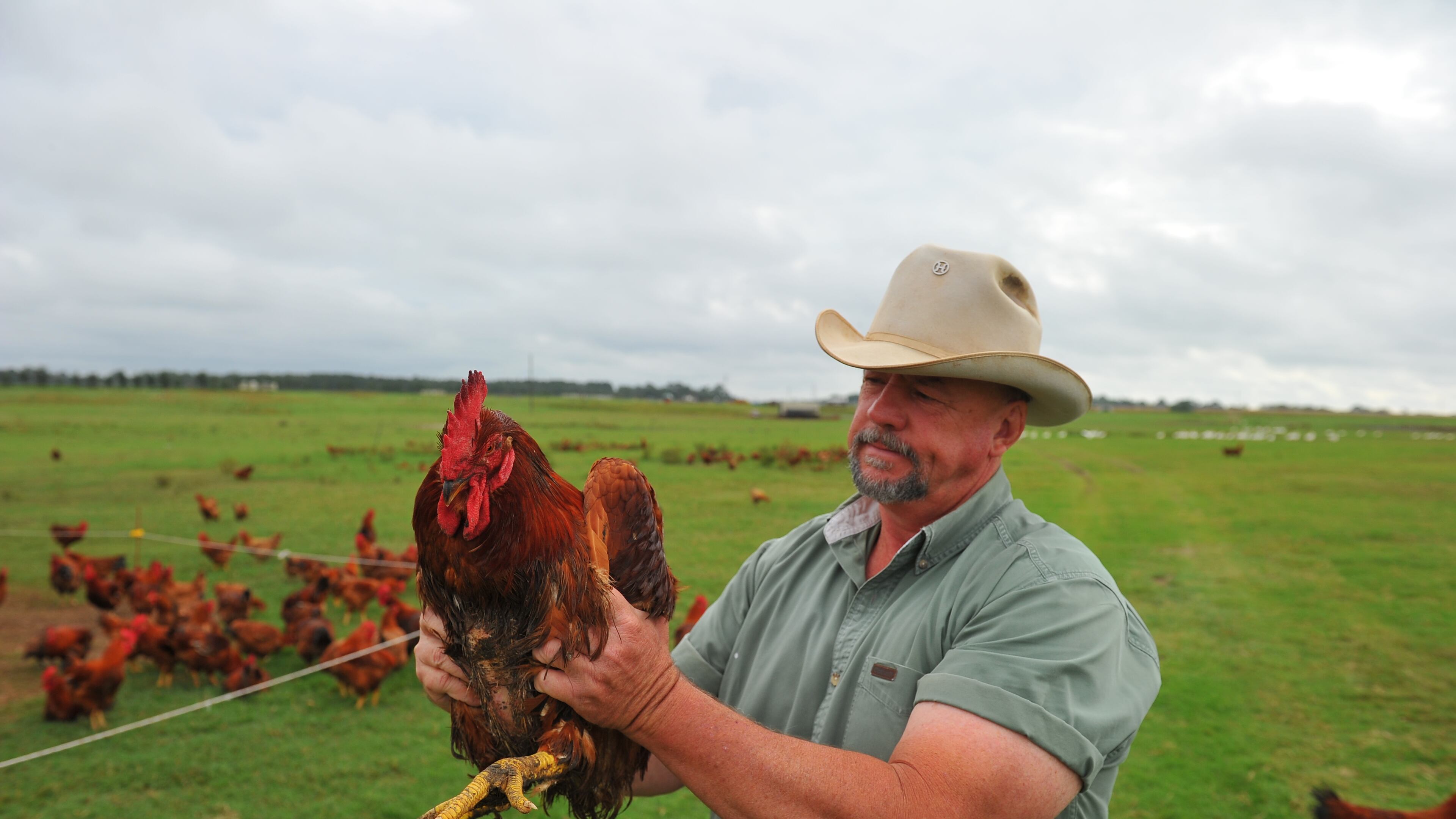 Will Harris President White Oak Pastures Bluffton Age: 59 Harris has been recognized around the world as a leader in humane animal husbandry and environmental sustainability. His 1,000-acre White Oak Pastures is one of the largest producers of organic, grass-fed beef in the country. As a fourth generation cattleman, he tends the same land that his great-grandfather settled in 1866. Photo by Brant Sanderlin/bsanderlin@ajc.com