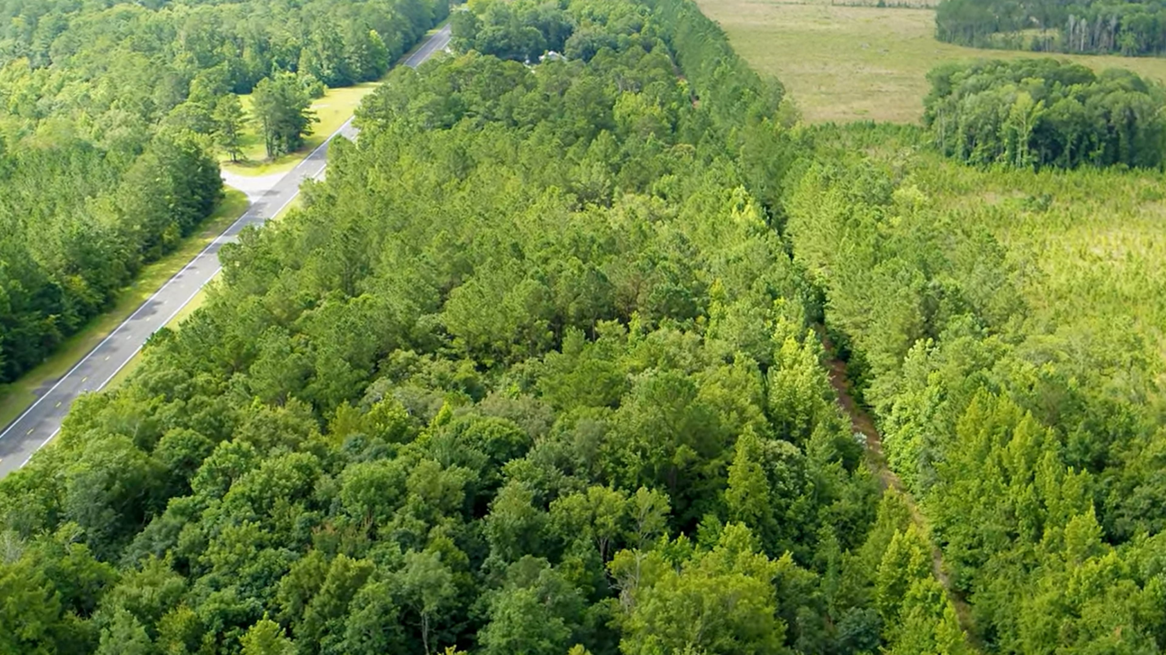 This is aerial footage advertising the Coastal Georgia Commerce Park in Camden County, a planned industrial park that received a state development grant in early 2026. (Courtesy of Camden County Joint Development Authority)
