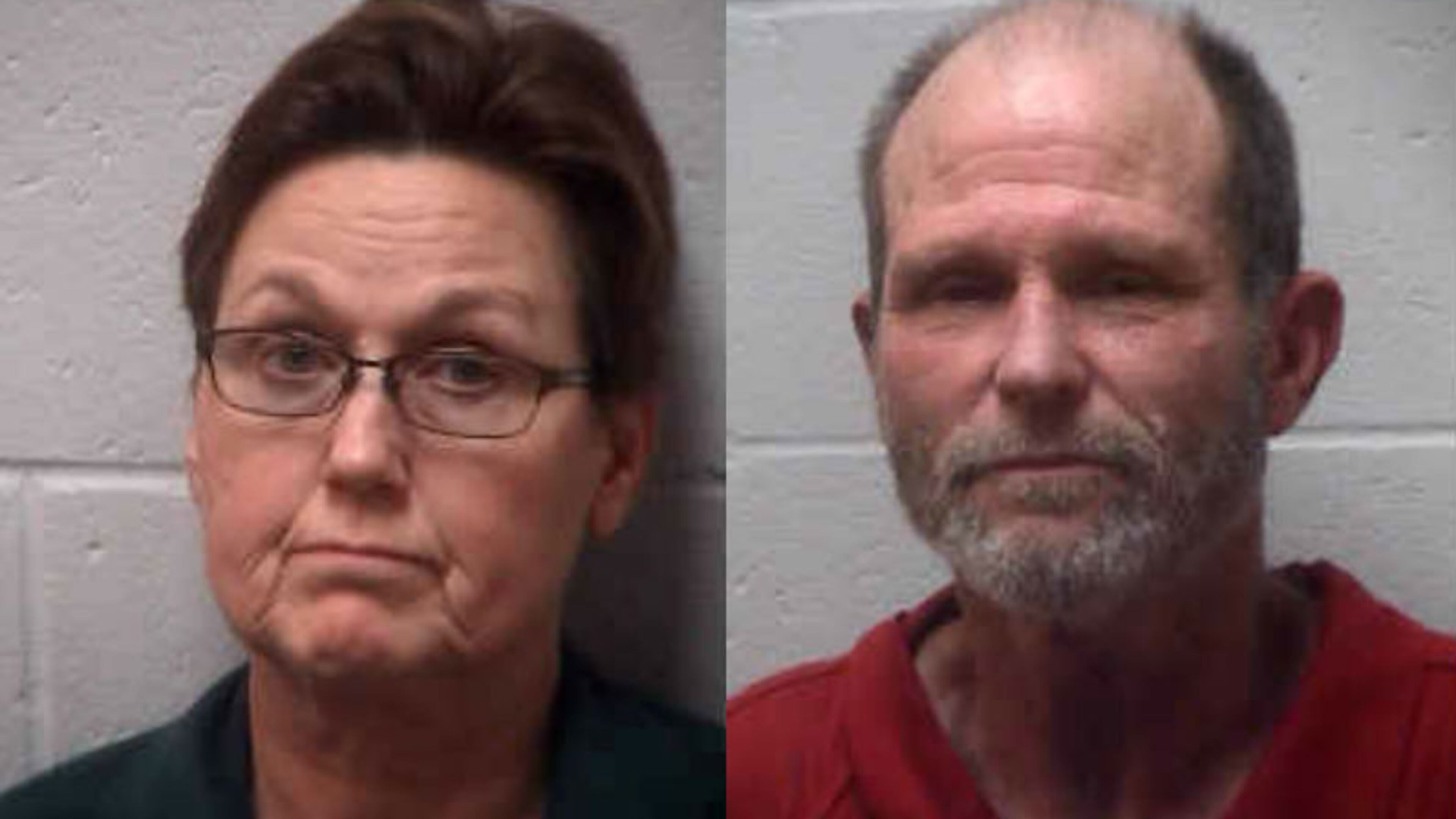 JoAnn and Jonathan Hardin pleaded guilty Friday to defrauding a Henry County woman of more than $150,000 in insurance funds intended to rebuild her home.