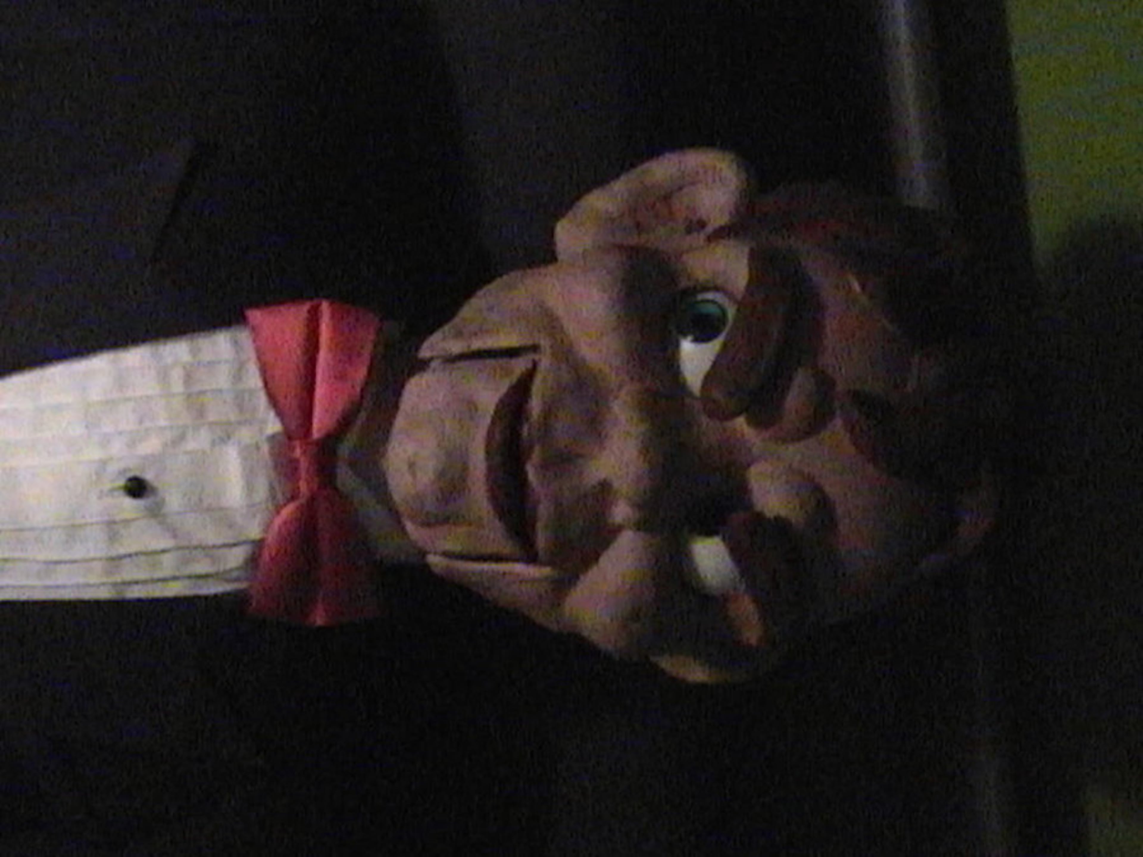 10 "Puppet Master" films: Puppet Master (1989), Puppet Master II: His Unholy Creation (1991), Puppet Master III: Toulon's Revenge (1991), Puppet Master 4: The Demon (1993), Puppet Master 5: The Final Chapter (1994), Curse of the Puppet Master (1998), Retro Puppet Master (1999), Puppet Master: The Legacy (2003), Puppet Master: Axis of Evil (2010), Puppet Master X: Axis Rising (2012). The horror film focused on puppets that came to life, often with a thirst for blood.