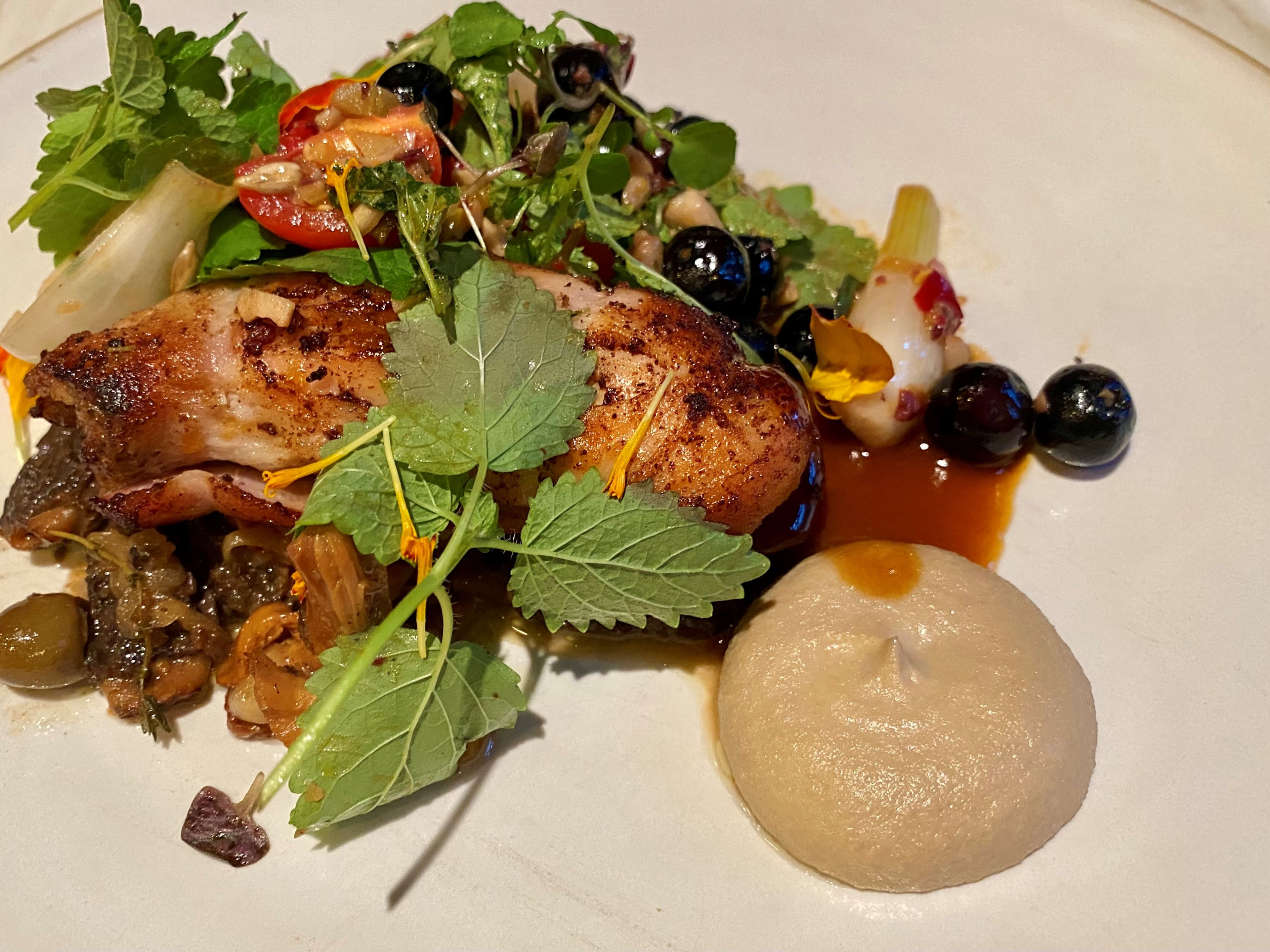 Falling Rabbit’s charred rabbit comes with morel and chanterelle conserva, sunflower crema, smoked blueberries, and a fresh, herby summer salad.
Wendell Brock for The Atlanta Journal-Constitution