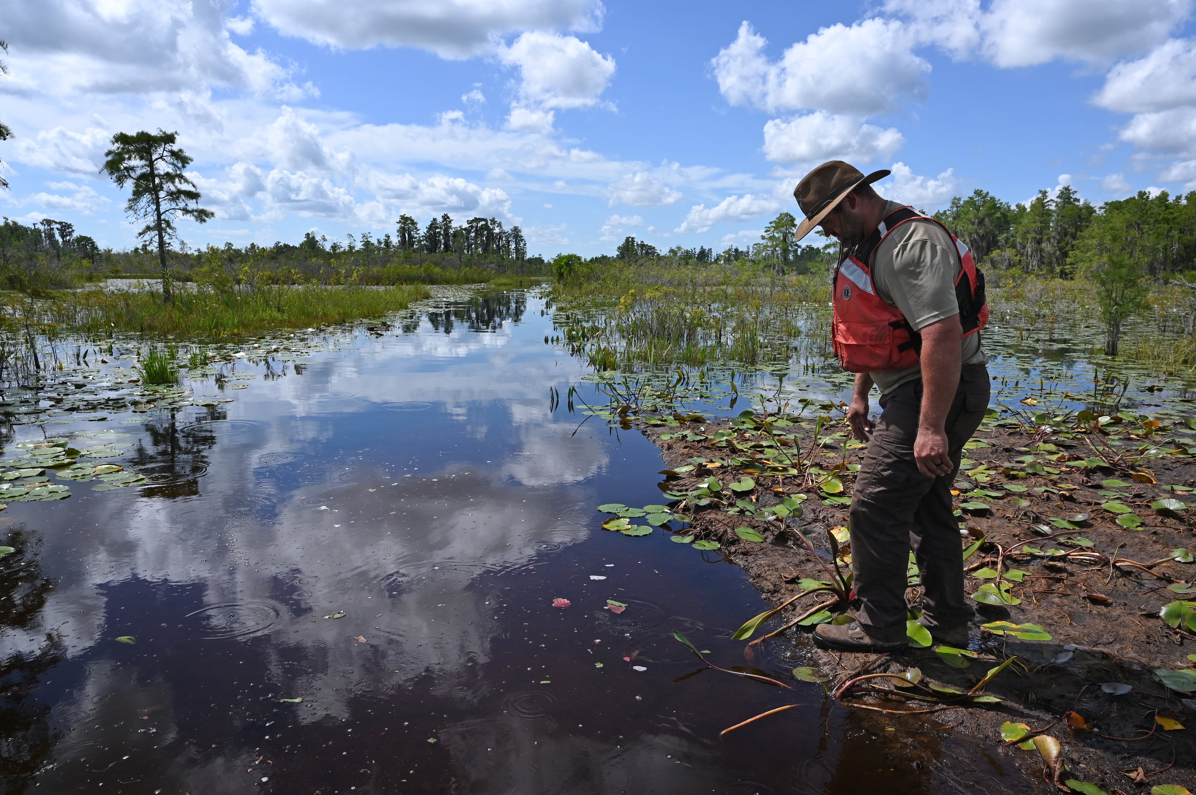 Environmentalists press Chemours for pledge never to mine near Okefenokee Swamp