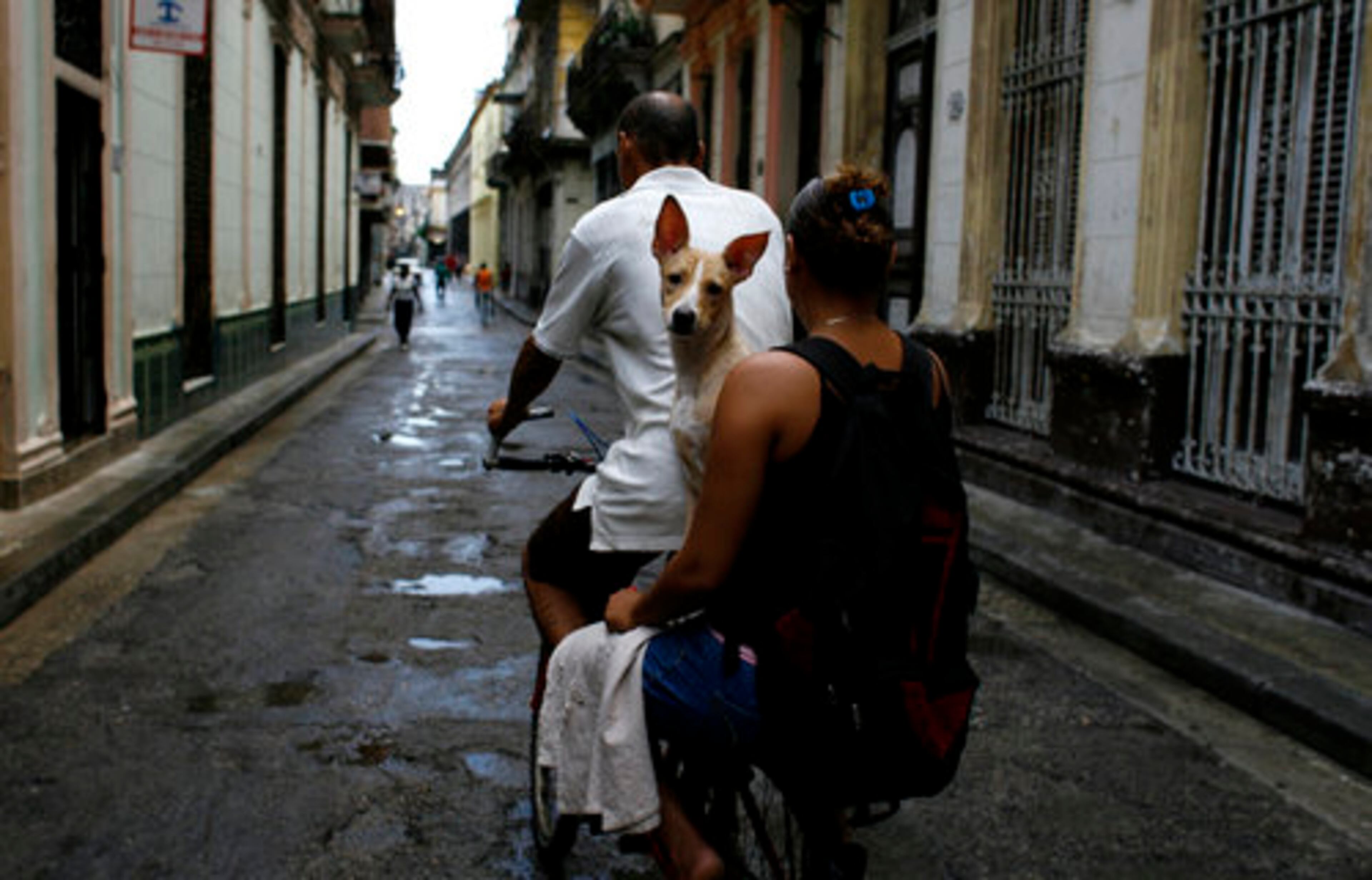 A Cuban couple rides a bicycle with a dog through old town Havana on Thursday. Tropical Storm Gustav built toward renewed hurricane force on as it drove toward Jamaica, according to the National Hurricane Center in Miami.