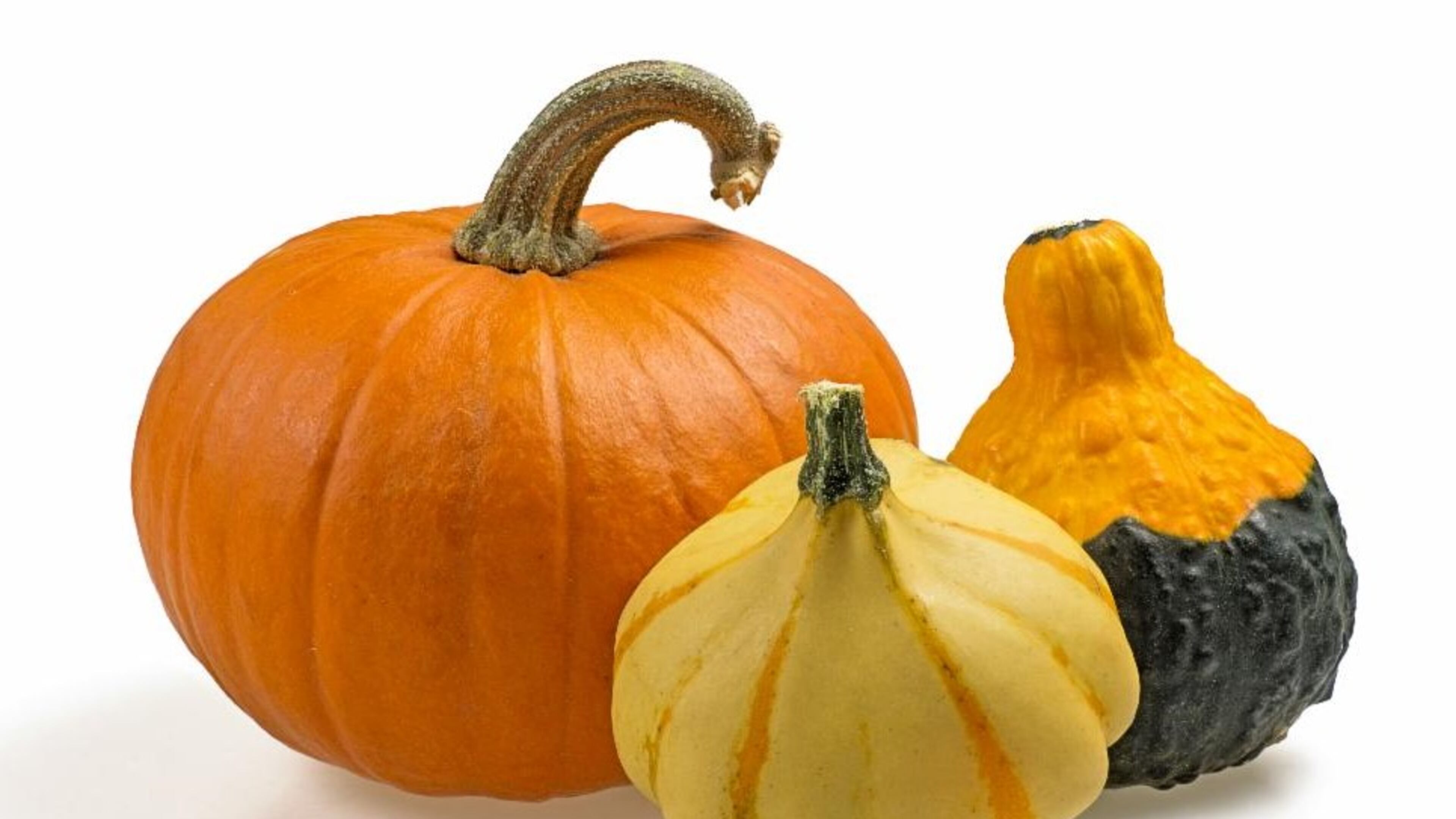 The Pumpkin Truck is scheduled to arrive on Oct. 15 in Avondale Estates. (Courtesy of Avondale Estates)