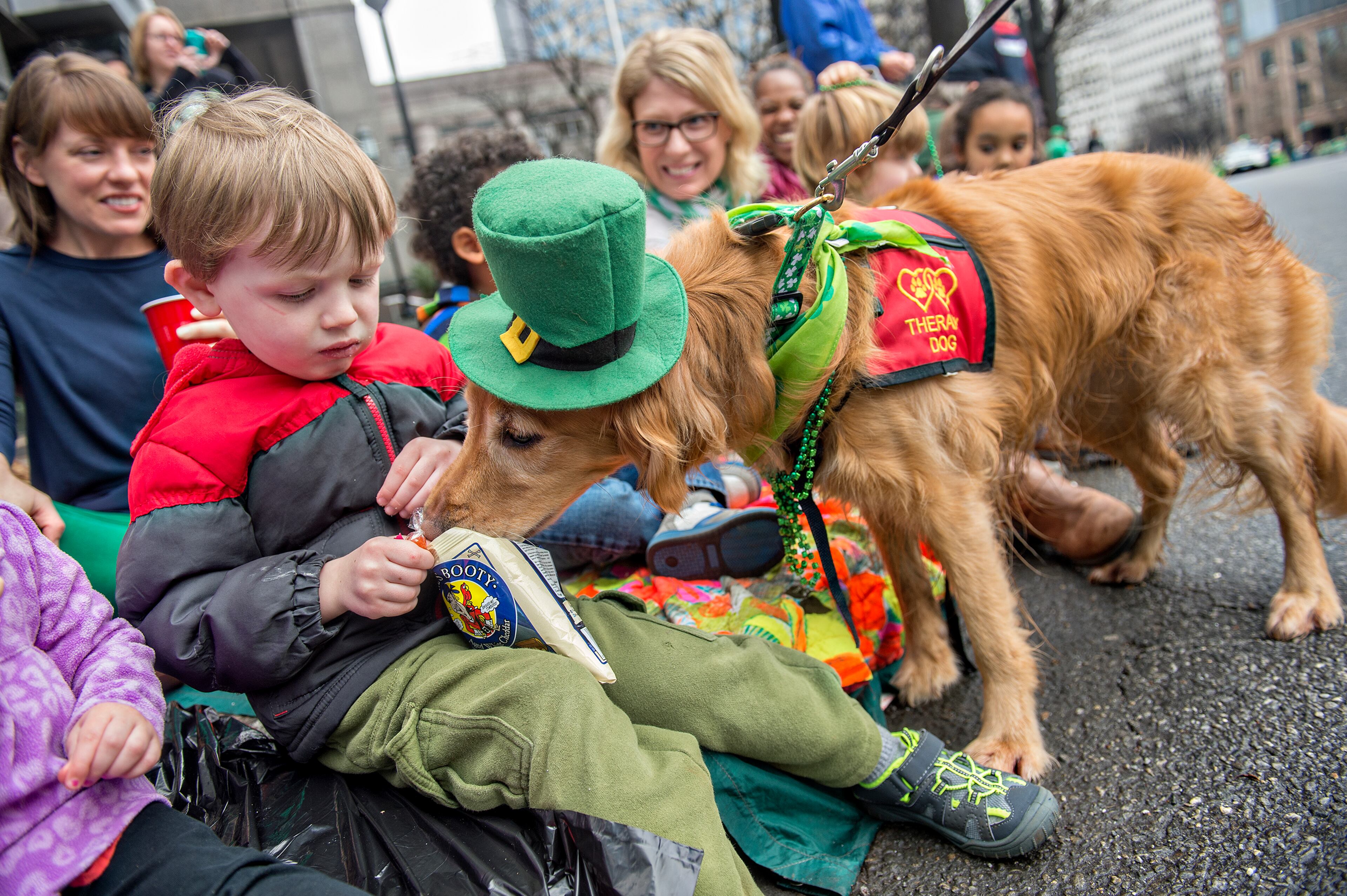 Ryder White (left) tries to keep Pearl, a golden retriever, from getting into his snack during the 2015 Atlanta St. Patrick's Parade on Saturday, March 14, 2015. Thousands of people attend the parade which dates back to 1858. JONATHAN PHILLIPS / SPECIAL