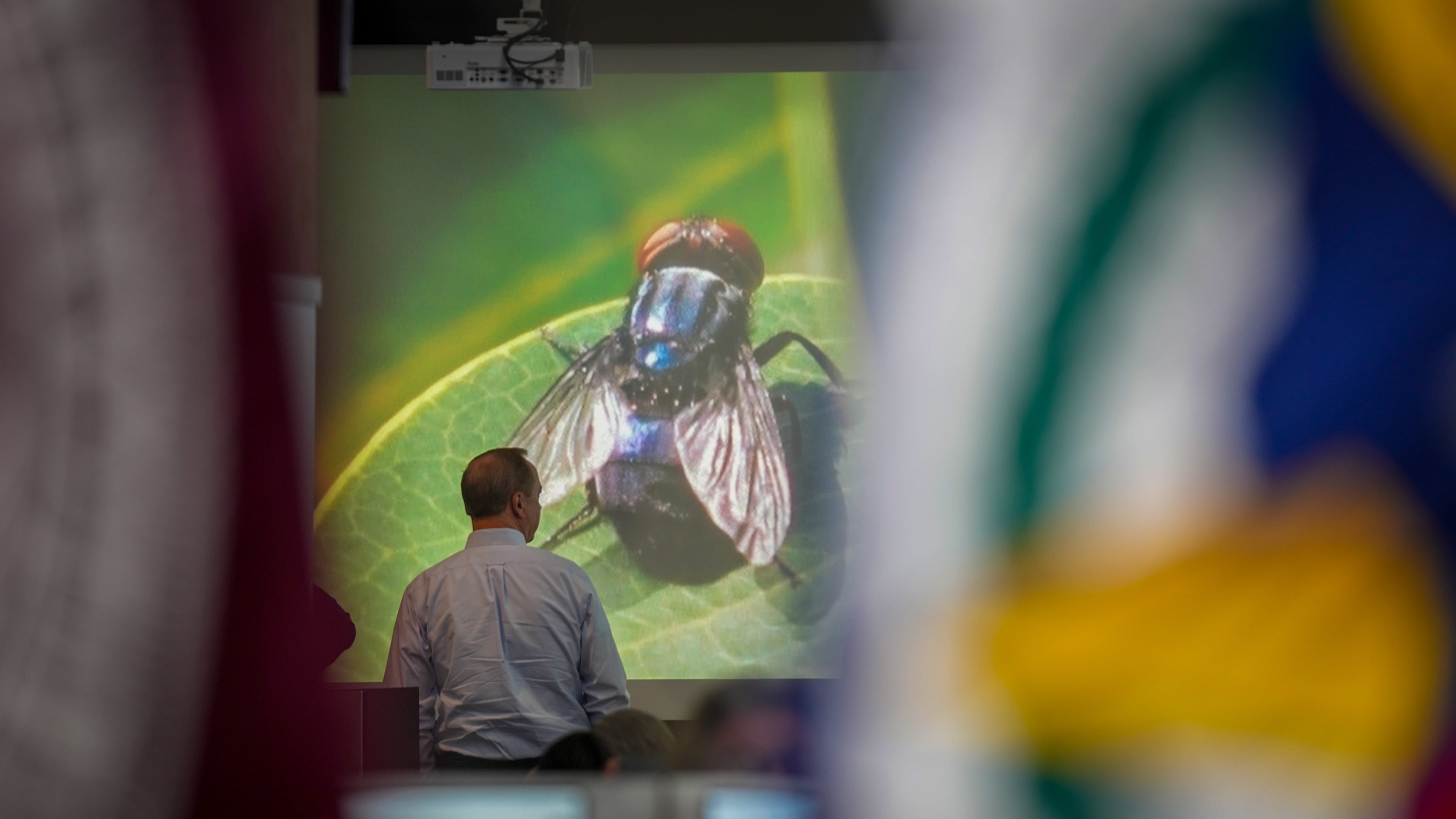 An official with Texas A&M AgriLife Extension works at the State Operations Center during Texas' response to the New World Screwworm in Austin, Texas on Friday, June 5, 2026. (Jay Janner/Austin American-Statesman via AP)