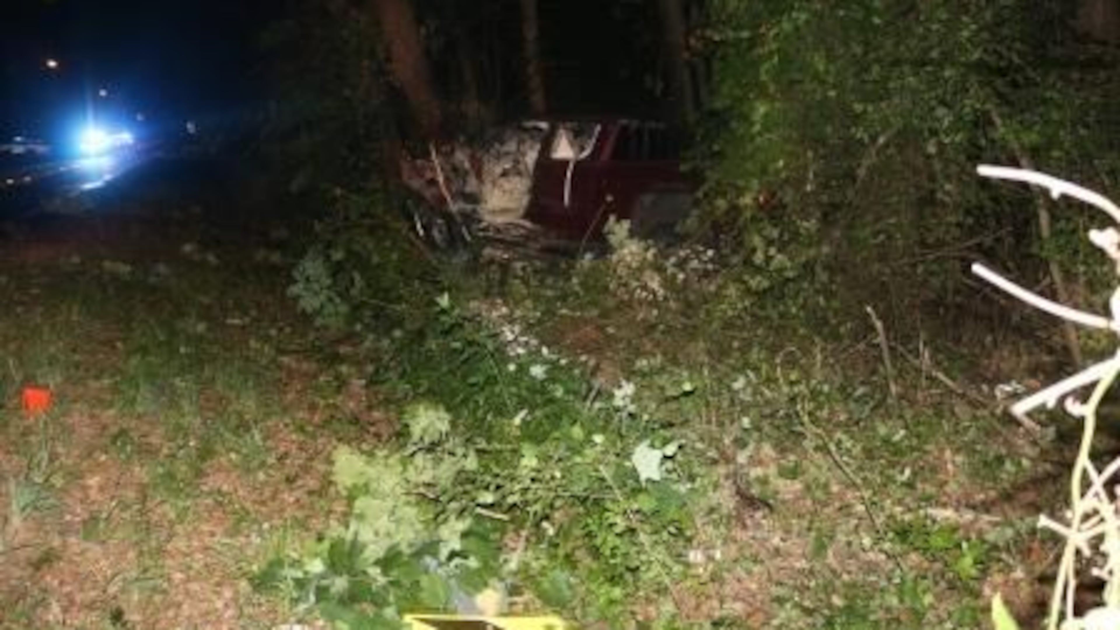 A Gwinnett woman was killed when a pickup truck she was driving ran off the road and into a tree early Monday, police said.