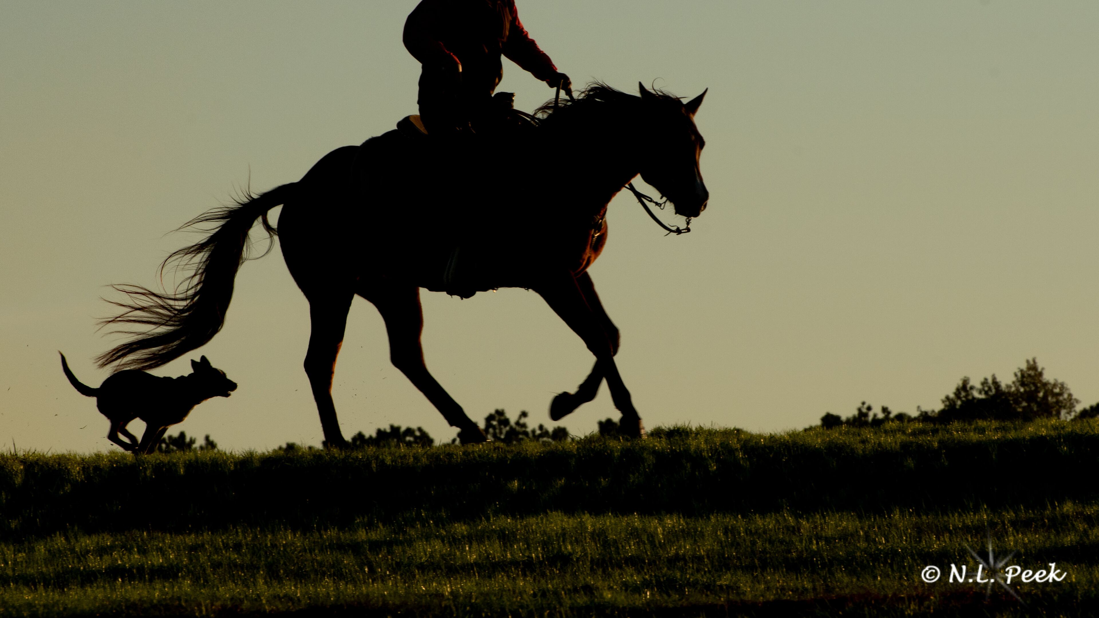 Nancy L. Peek took this photo at Southern Cross Guest Ranch in Madison.