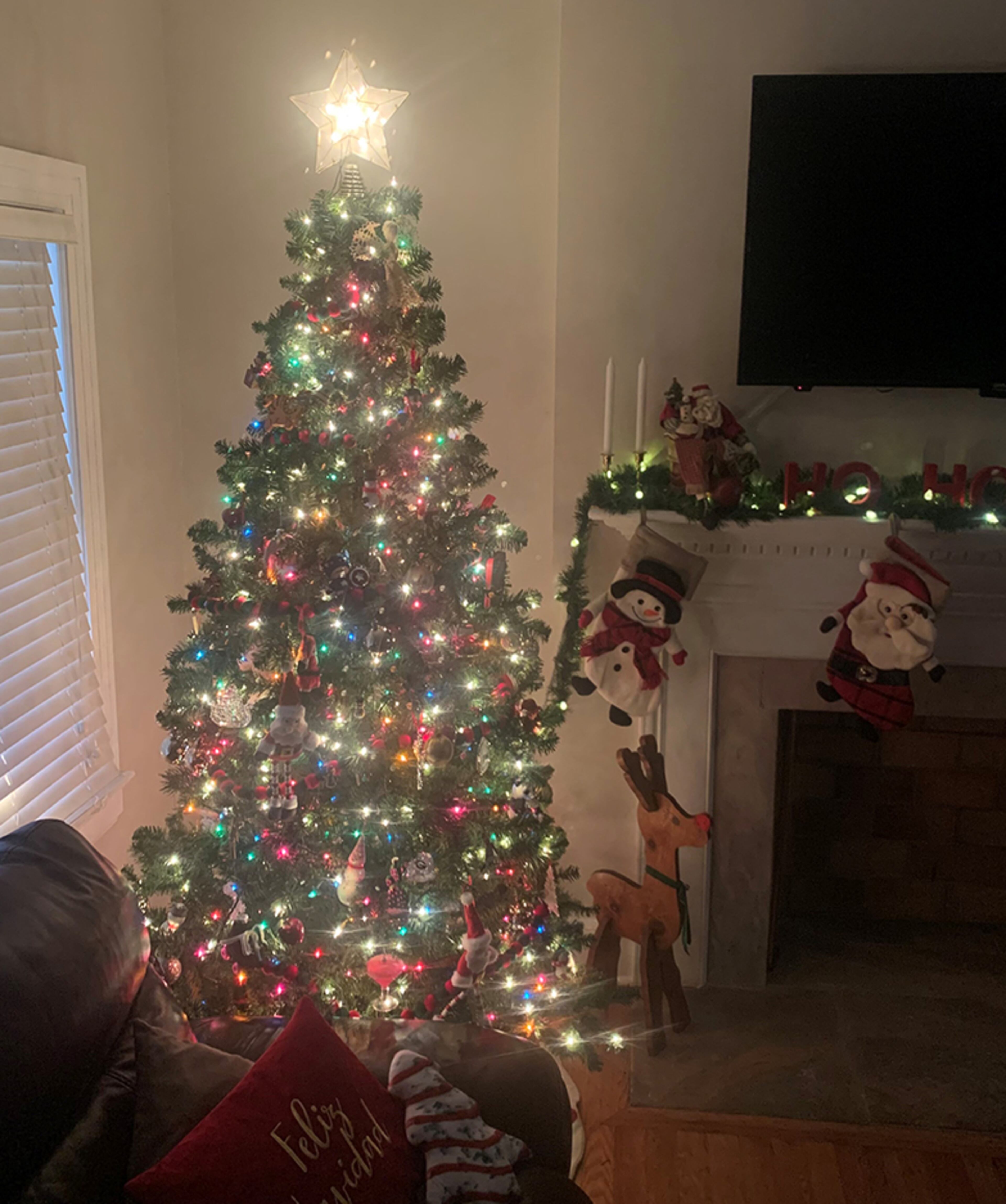 Matt Foster, a Cedartown city commissioner, decorates his red, white and green with an eclectic mix of ornaments.— "some that my students have given me throughout my teaching career, others from my childhood, and a handful of my college, UGA, which is still number one in our hearts!"