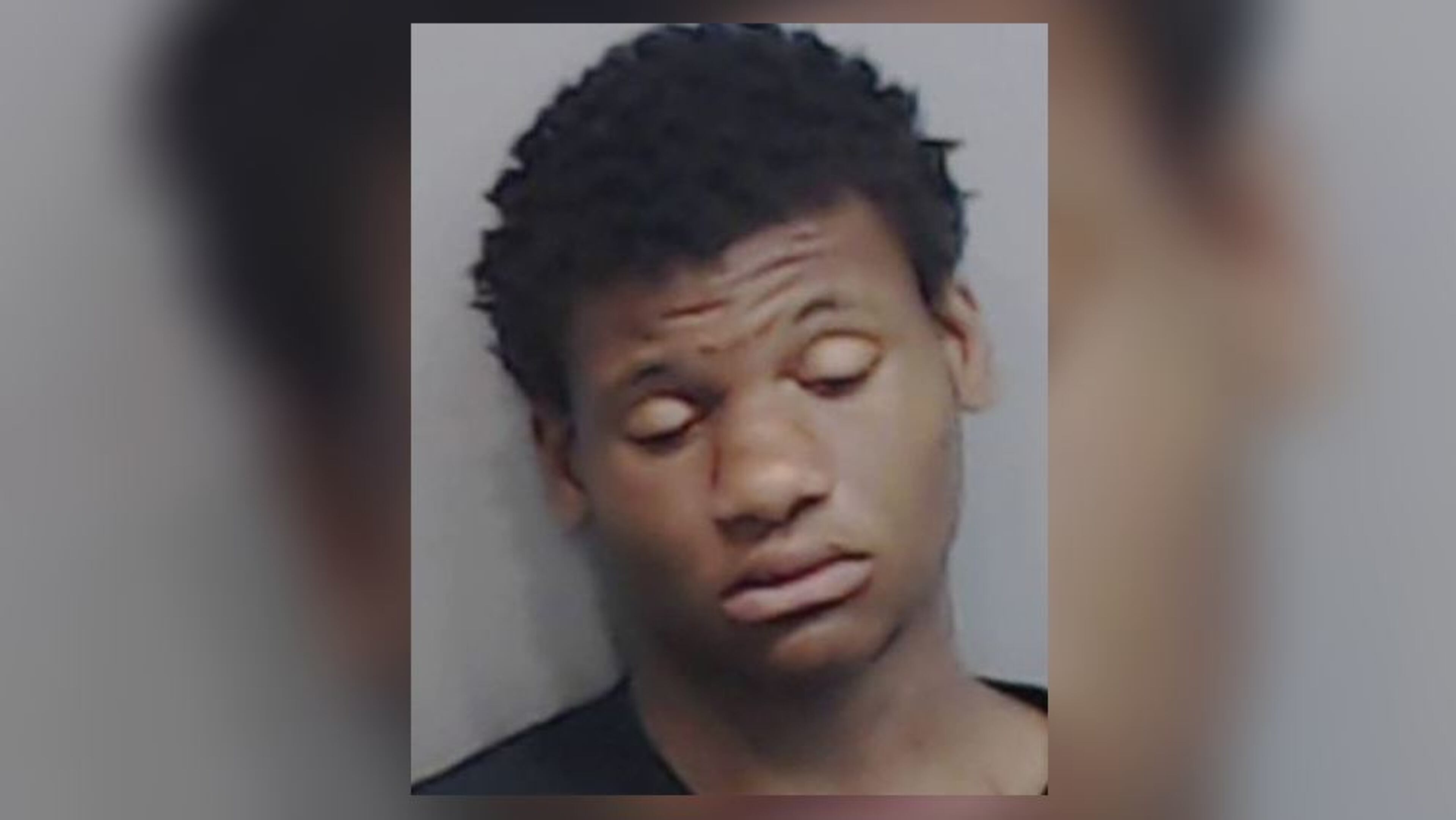 Wilford Hardnett was also arrested in 2017.