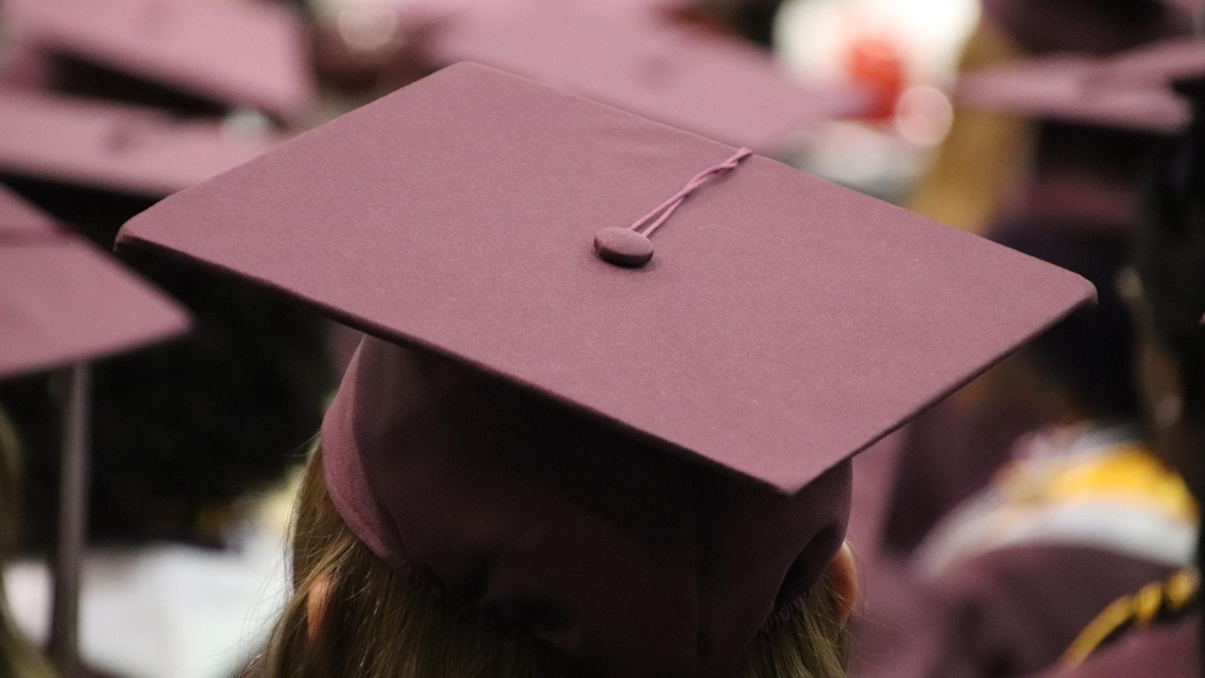 FILE PHOTO: (McElspeth/Pixabay license: https://pixabay.com/en/service/terms/#usage)