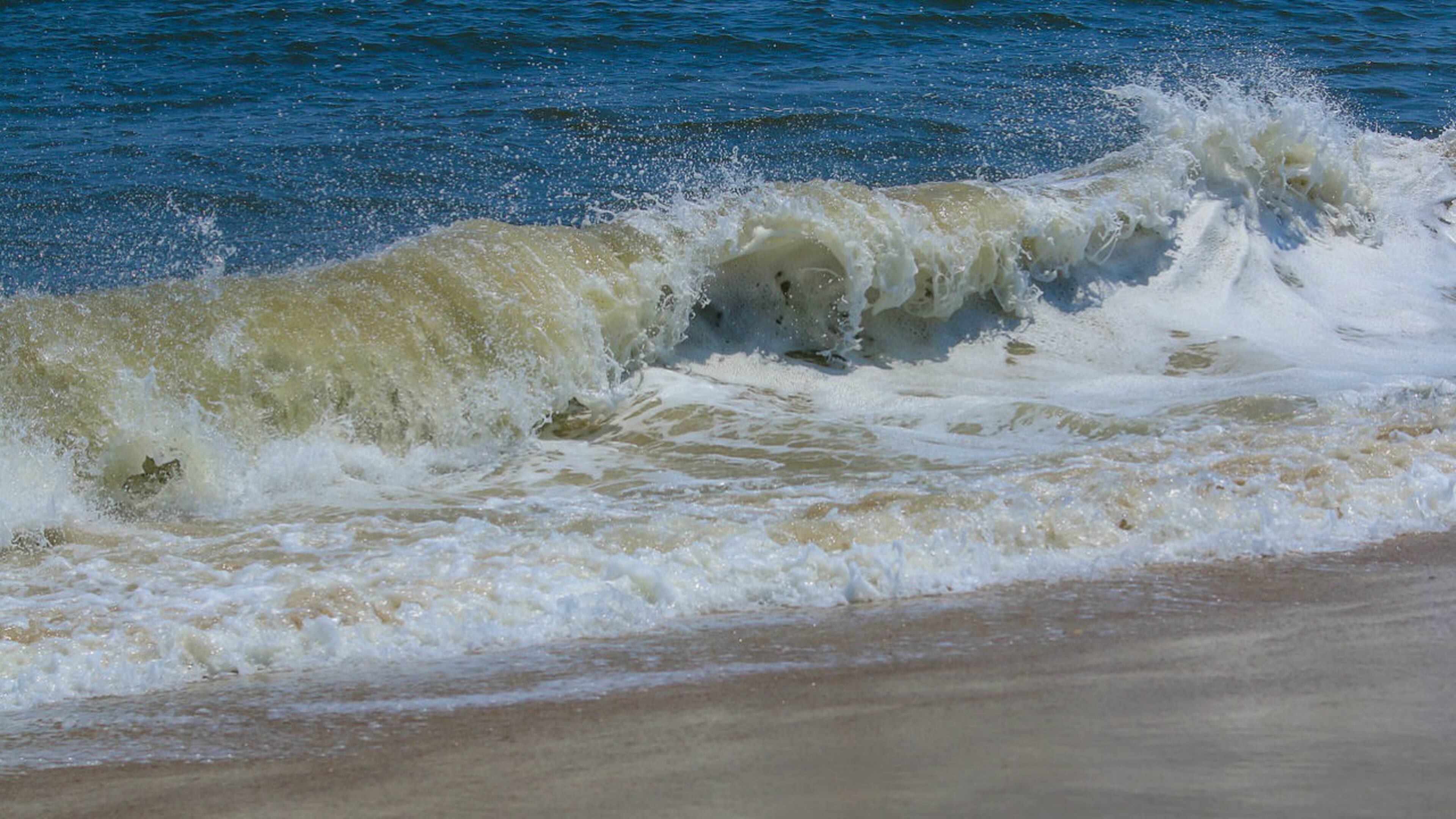 FILE PHOTO: A man celebrating his birthday at the beach with some friends Tuesday helped make a wish come true for a man suffering from dementia, who wanted to ride a wave. (Photo: ajohnson9072/Pixabay)