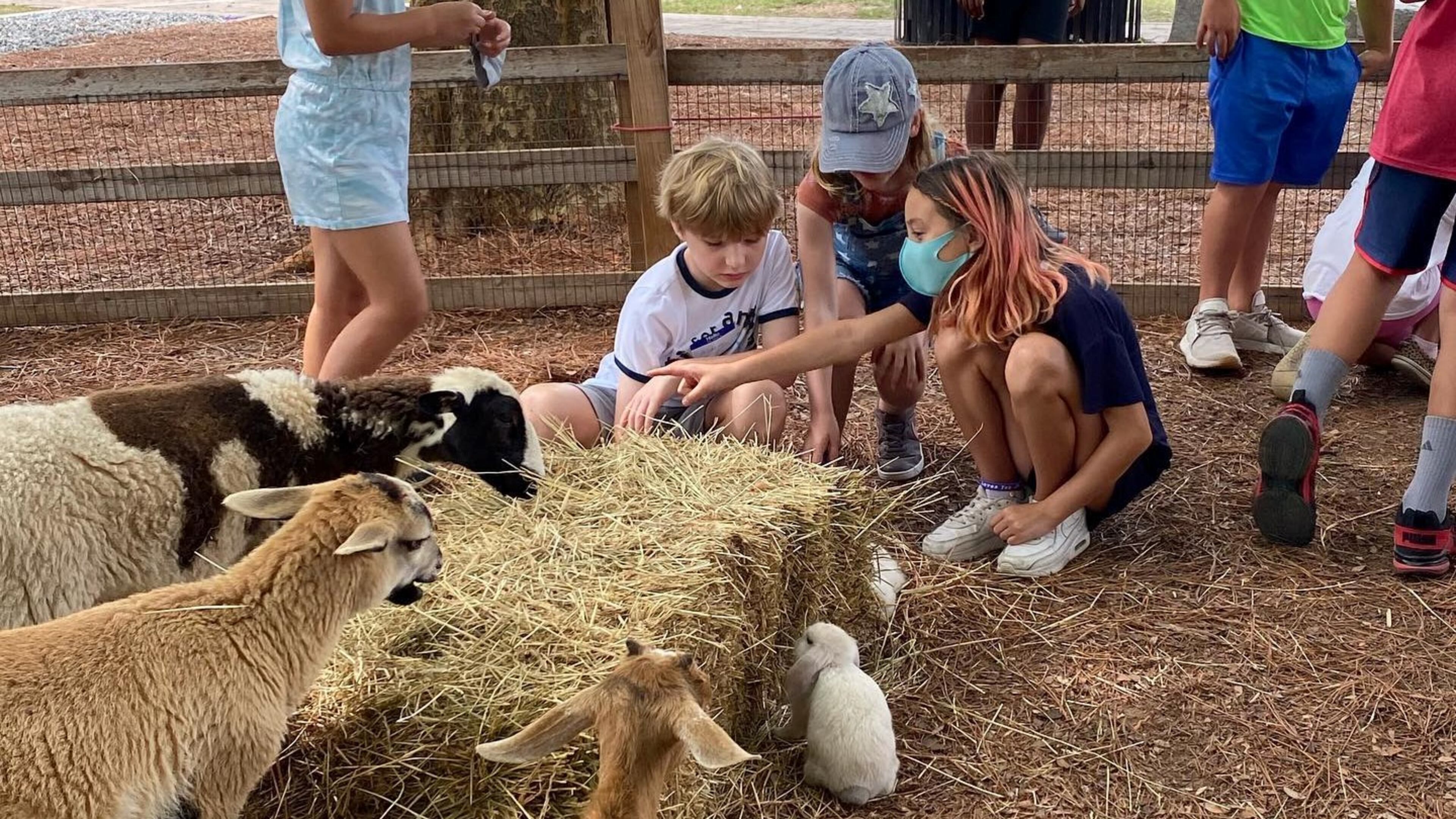 A variety of activities are planned for children ages 7 to 12 during Camp Flashback, meeting weekly in Dunwoody during June and July. (Courtesy of Dunwoody Preservation Trust)