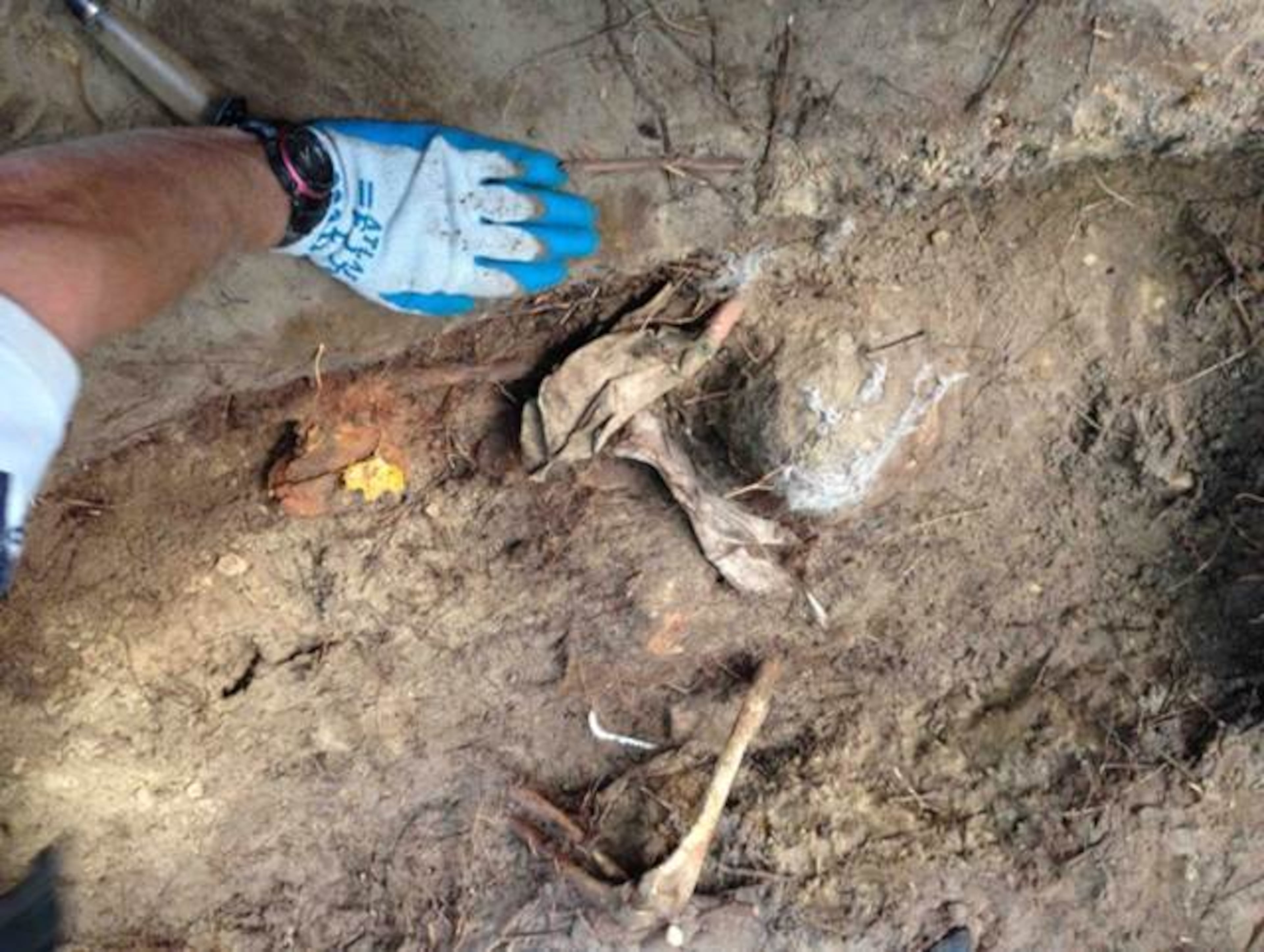 Lt. John W. Herb’s remains were discovered at this site near Rosien, Germany. Photo: courtesy Riverside Military Academy