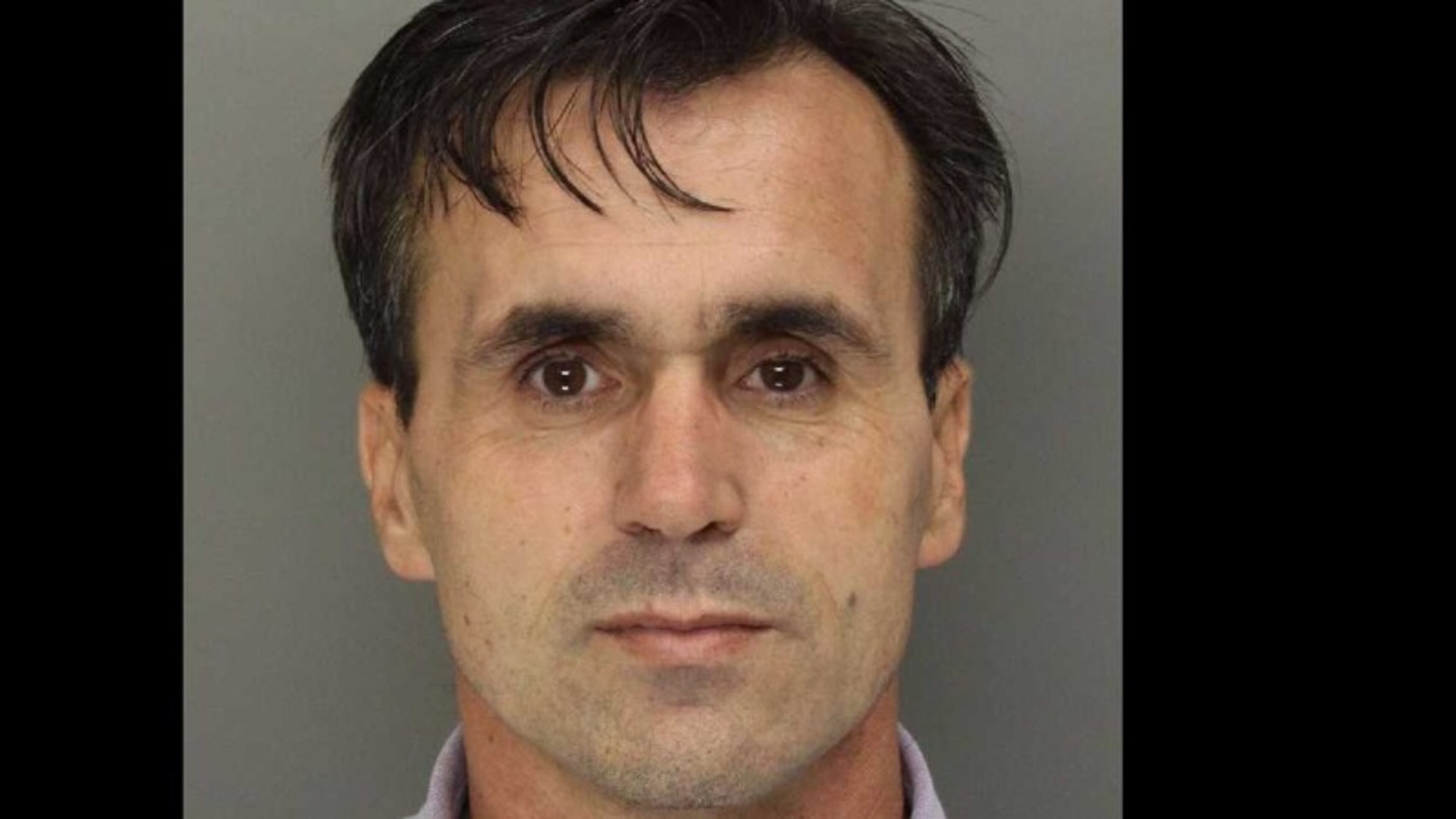 Mughsot of Vahid Husic.