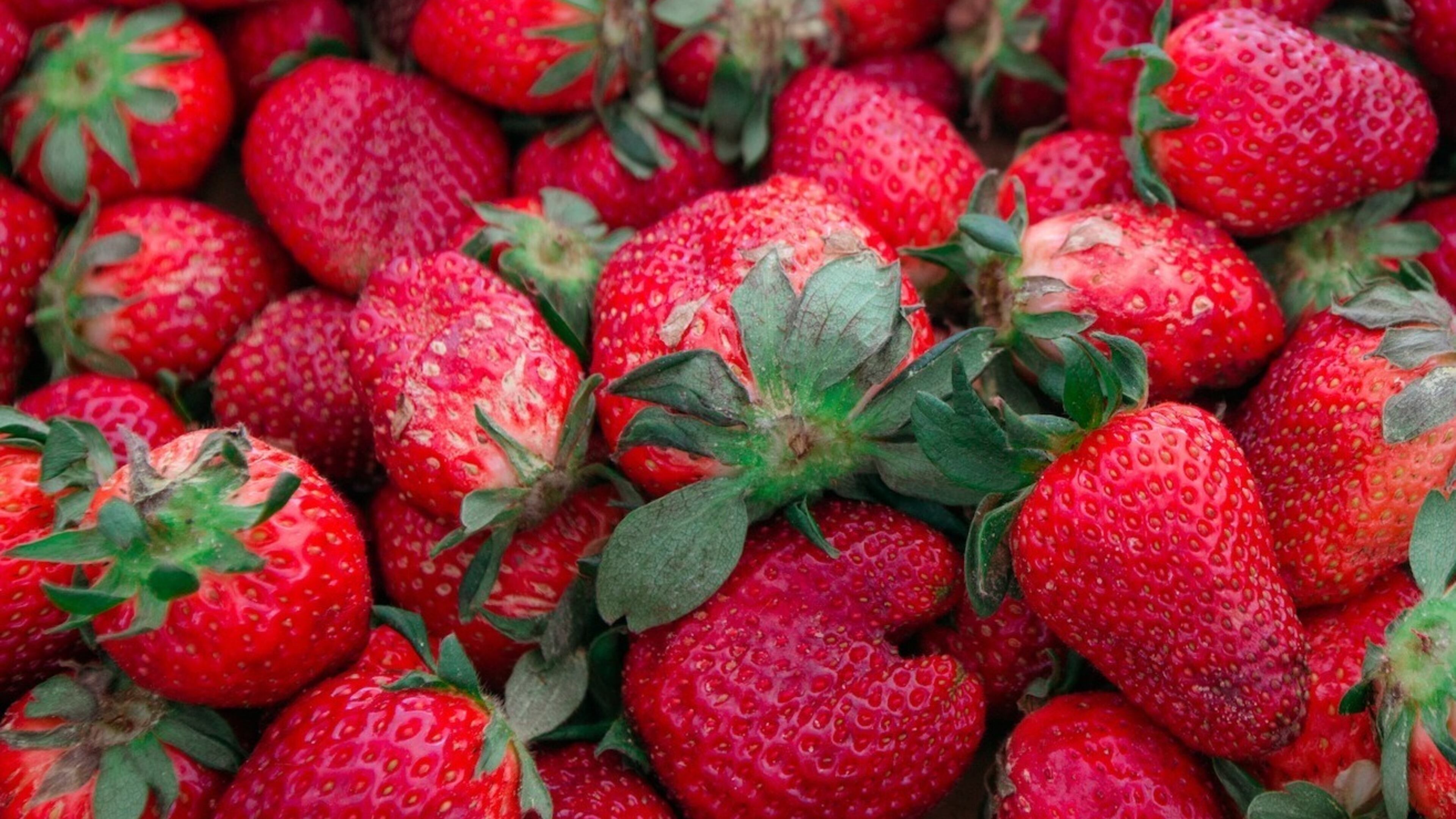 At various MARTA rail stations, Fresh MARTA Markets are open every week through early December to buy local produce and other products. (Courtesy of Community Farmers Markets)