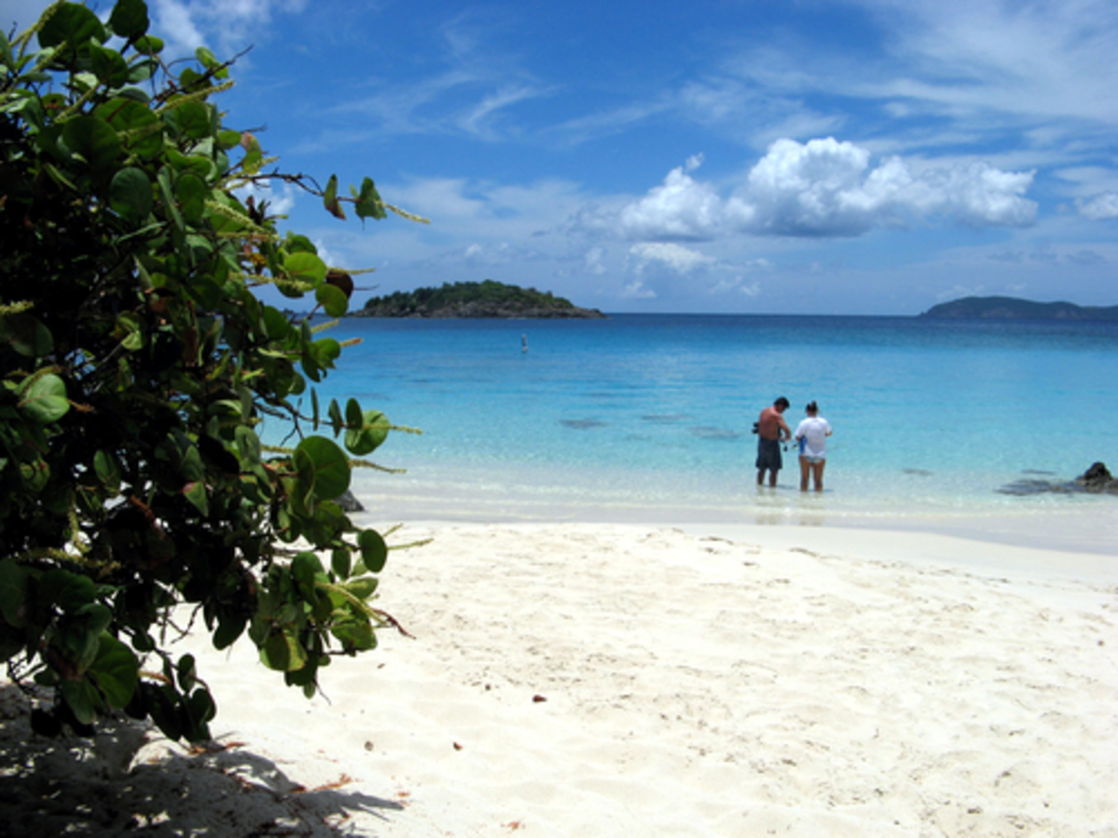 Turtle Bay, one of seven beaches in the Caneel Bay Resort on St. John.