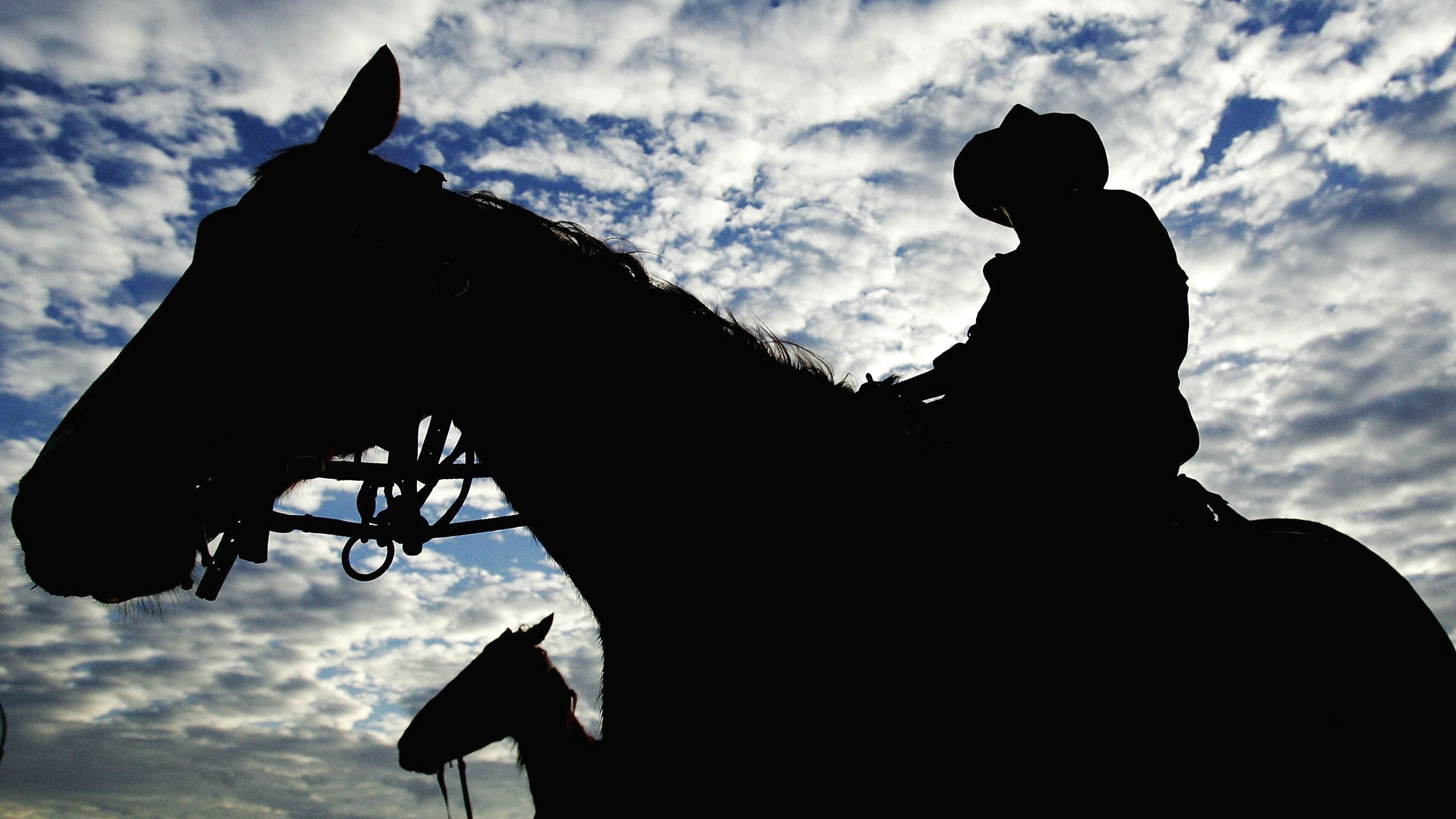 Ian Waldie/Getty Images