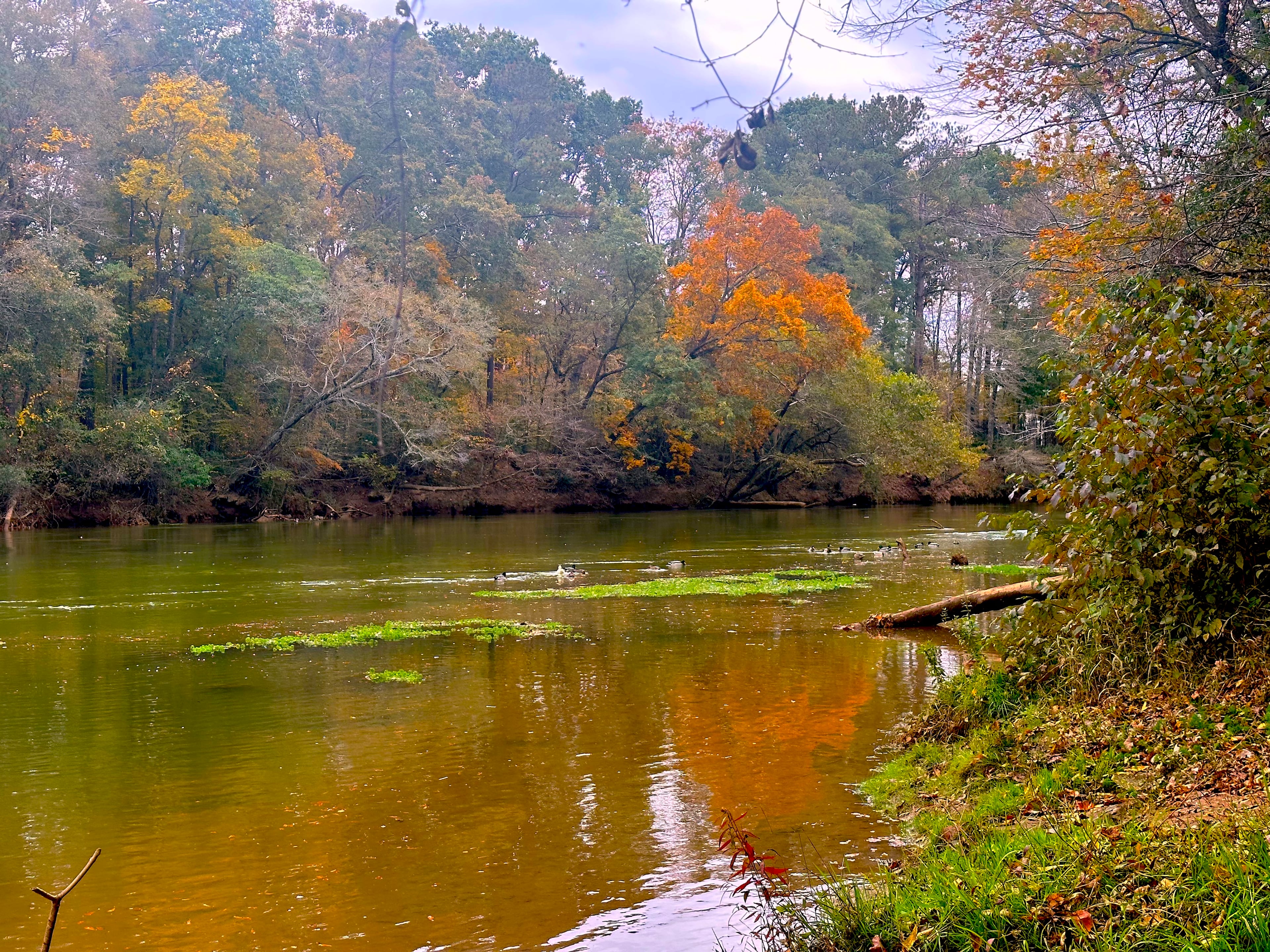 Fall colors reflect off the Chattahoochee River at Medlock Bridge. (Courtesy of Jonah McDonald)