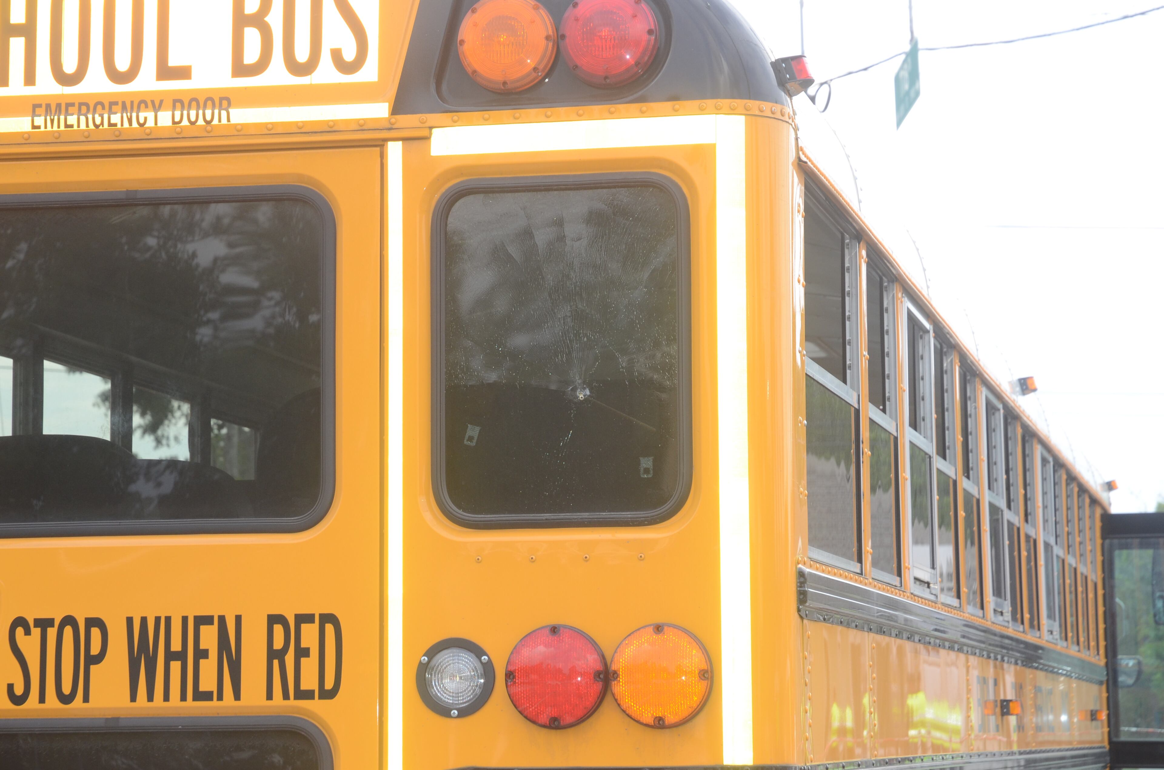 Action News obtained hours of witness interviews, surveillance video from both the front of the school bus and the back of bus 915 and photos from the crime scene.