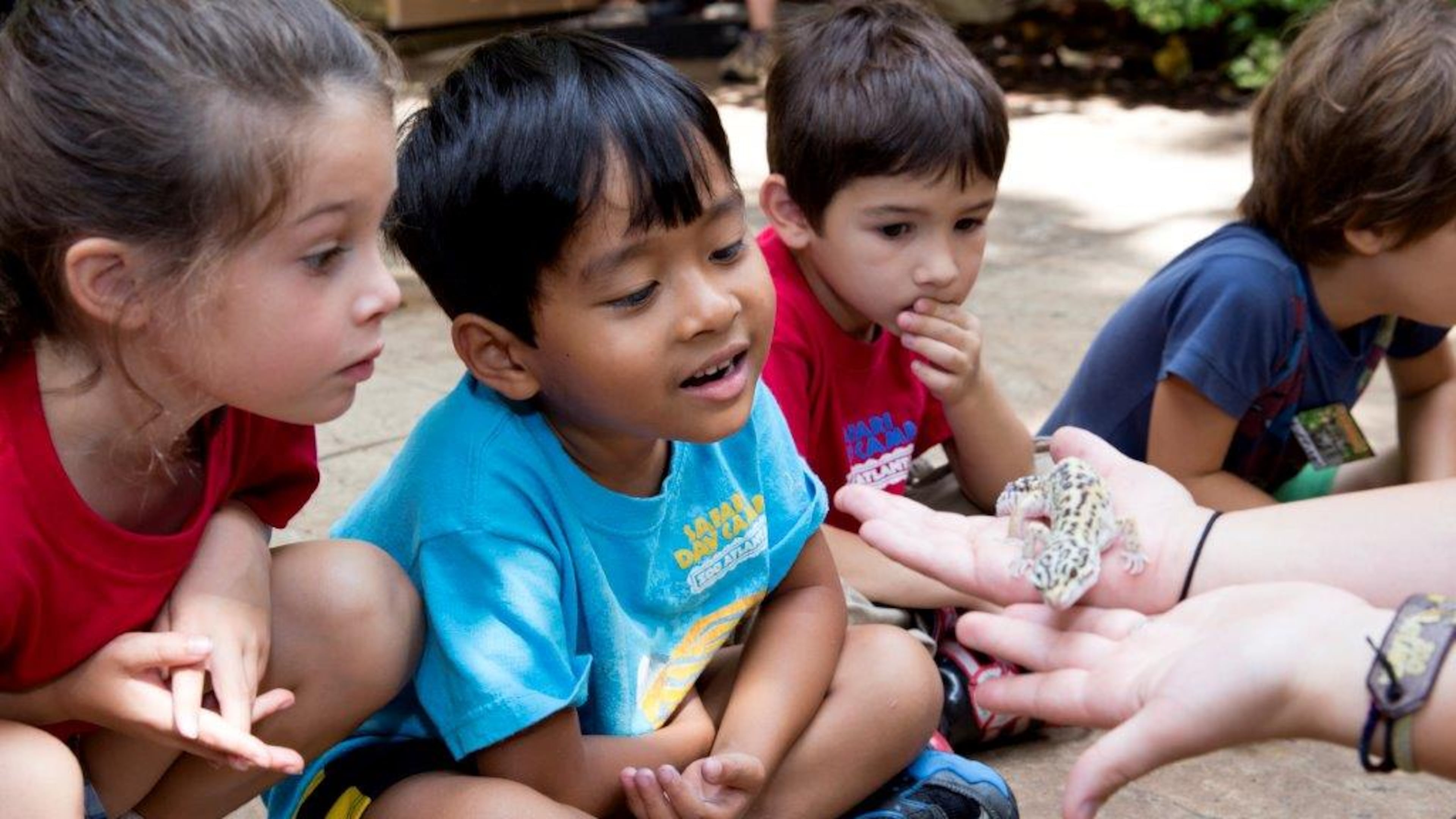 Children enjoy camp at Zoo Atlanta. SPECIAL