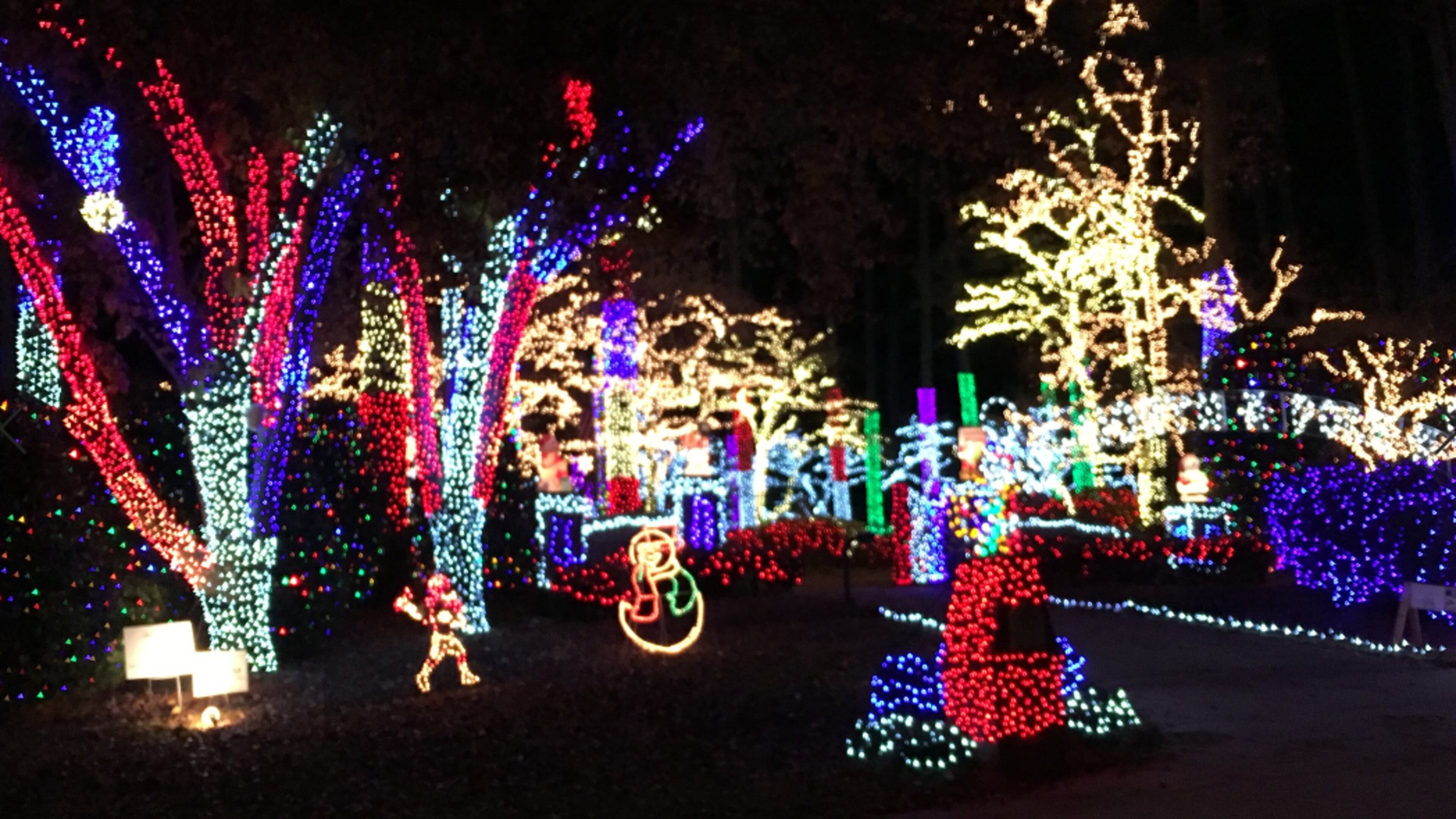 Light of Joy was a contestant on the ABC's "Christmas Light Fight" on Dec. 2.