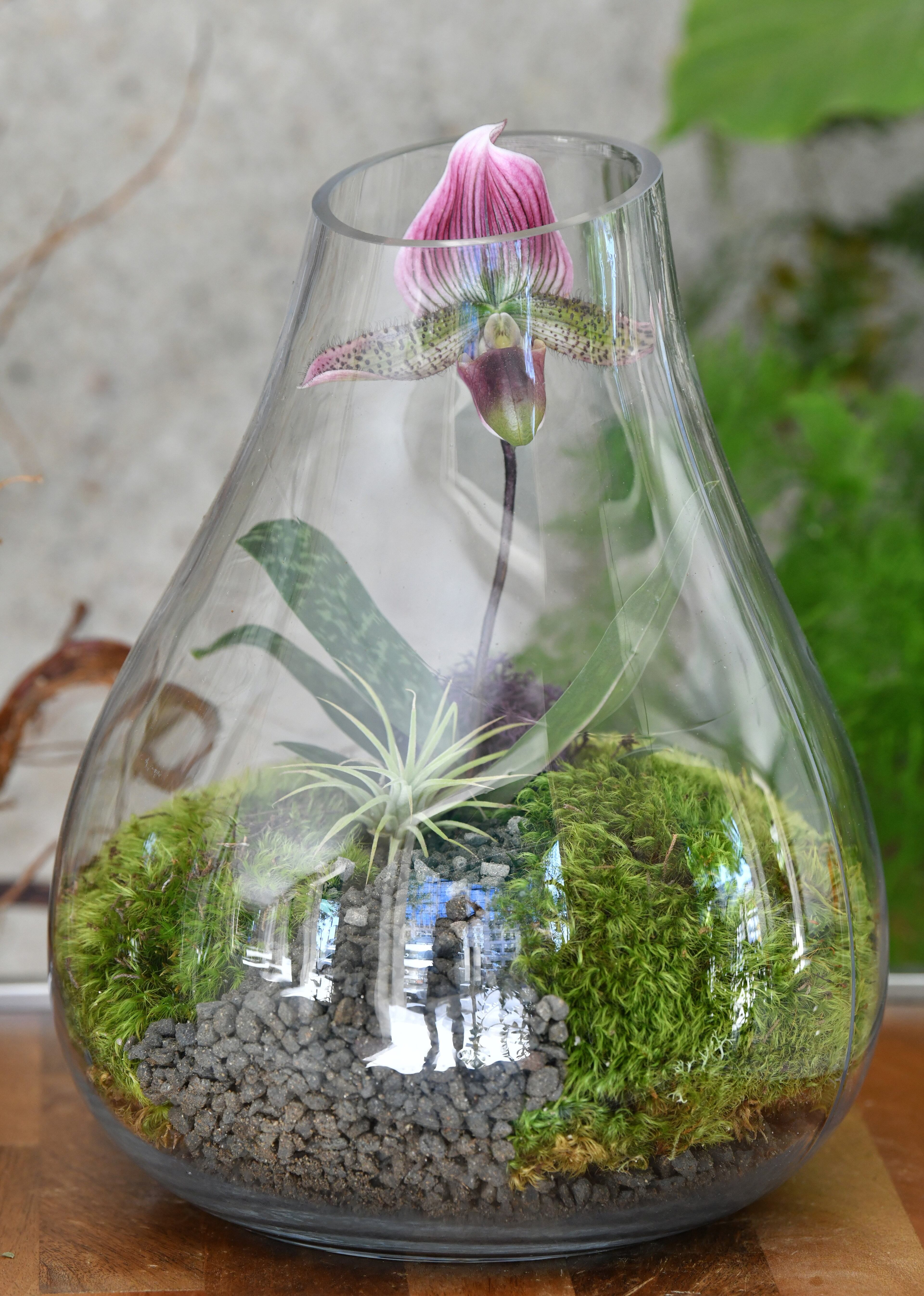 May 2, 2020 Atlanta - Terry Furuta, owner and florist arranges terrariums at Terry Furuta Floral Designs in Buckhead on Saturday, May 2, 2020. (Hyosub Shin / Hyosub.Shin@ajc.com)