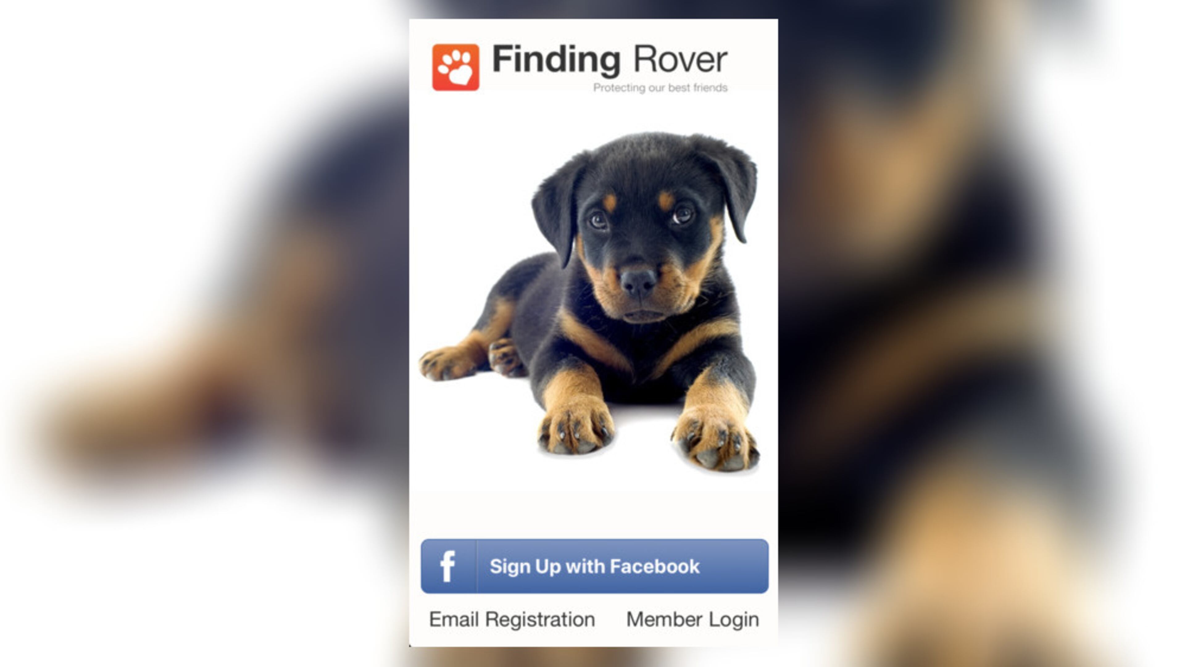Finding Rover uses facial recognition to help track down lost pets.