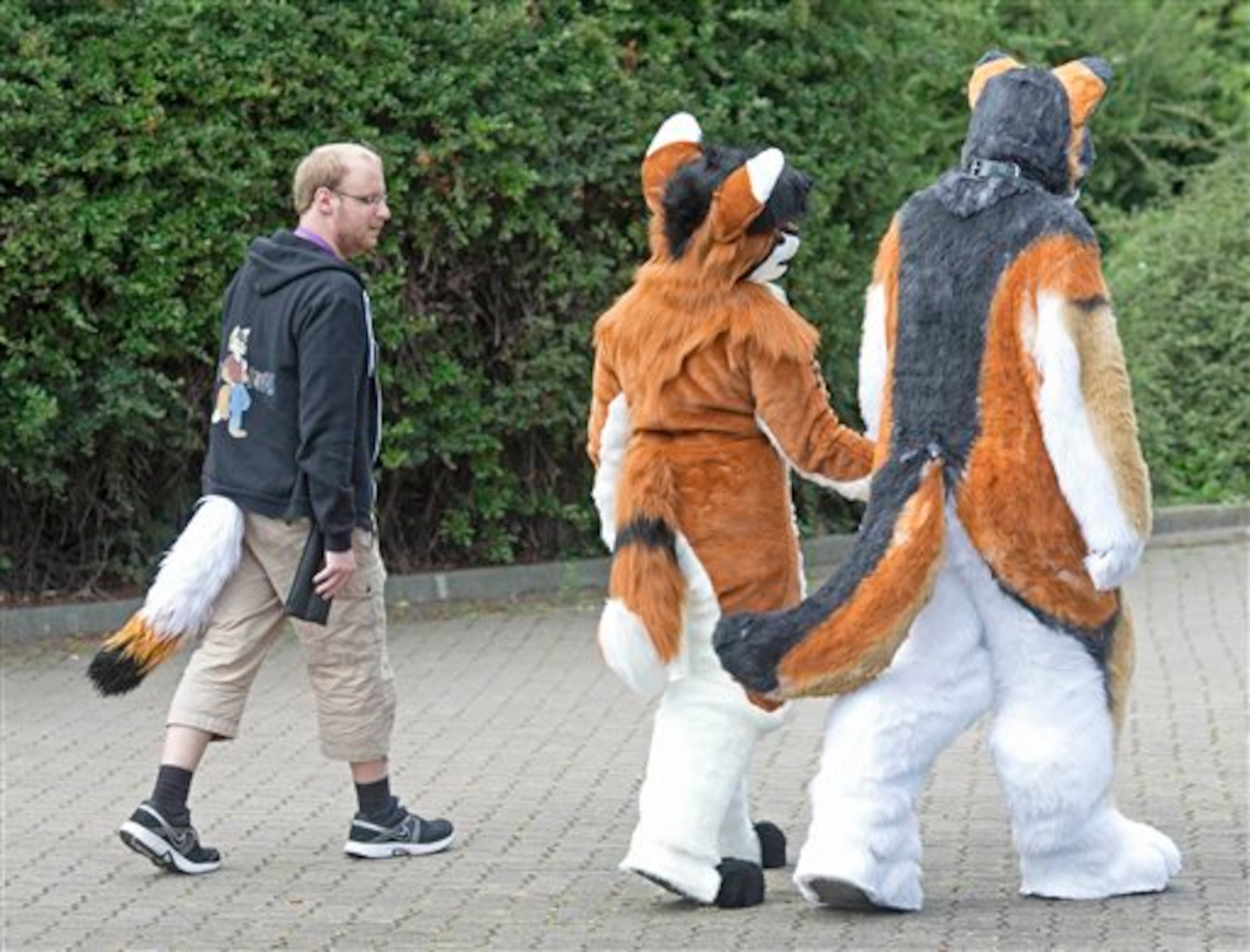 People walk in fanciful animal costumes in the Magdeburg zoo during the opening of the Eurofurence Convention in Magdeburg, central Germany, Wednesday, Aug. 21. 2013. The annual Eurofurence Convention is one of the largest European gathering of artists and fans of the Furry genre. (AP Photo/Jens Meyer)