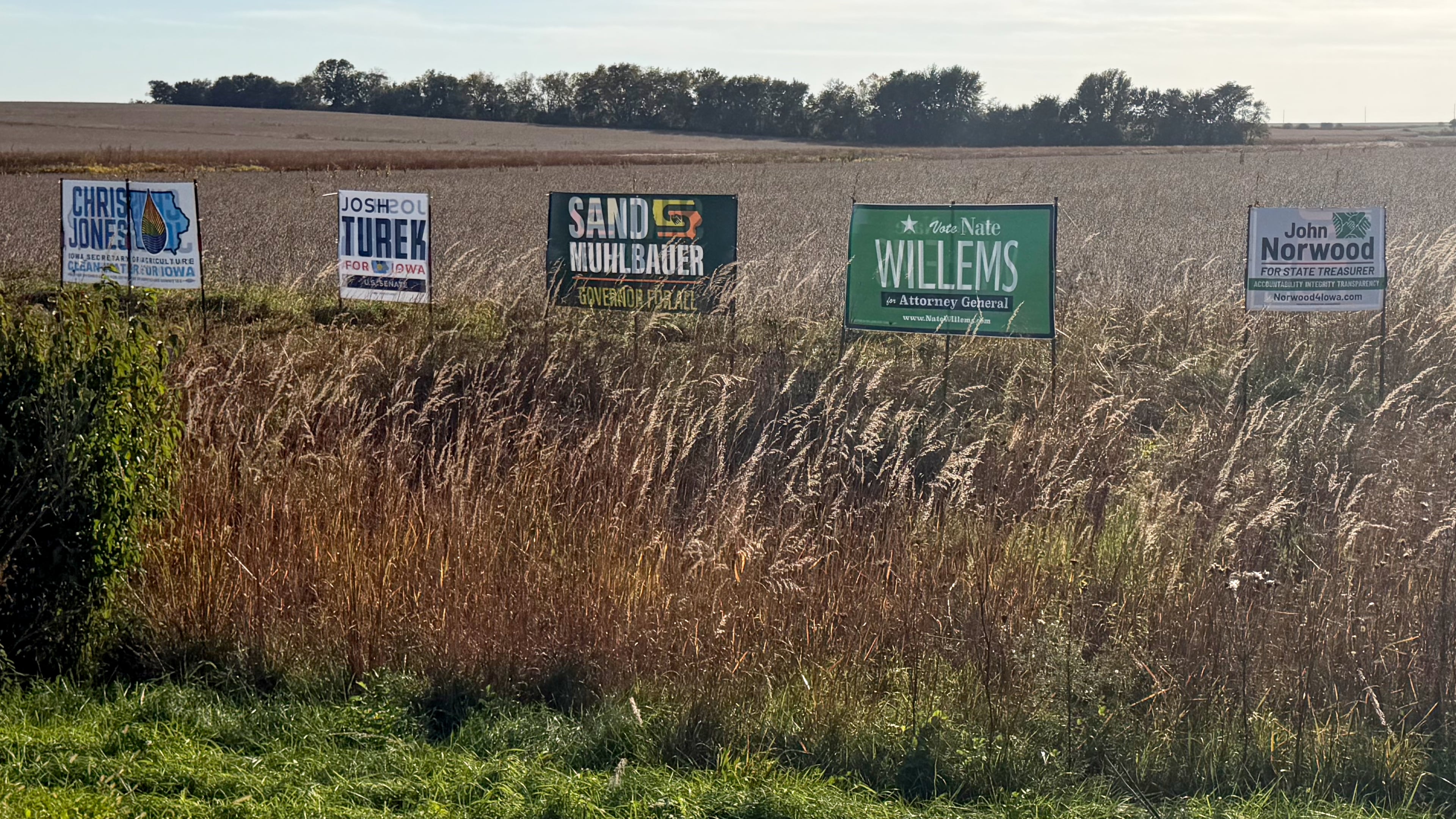 Signs supporting Democratic candidates are pictured in a field near Waterloo, Iowa, Sunday, Oct. 11, 2026. (AP Photo/Steven Sloan)