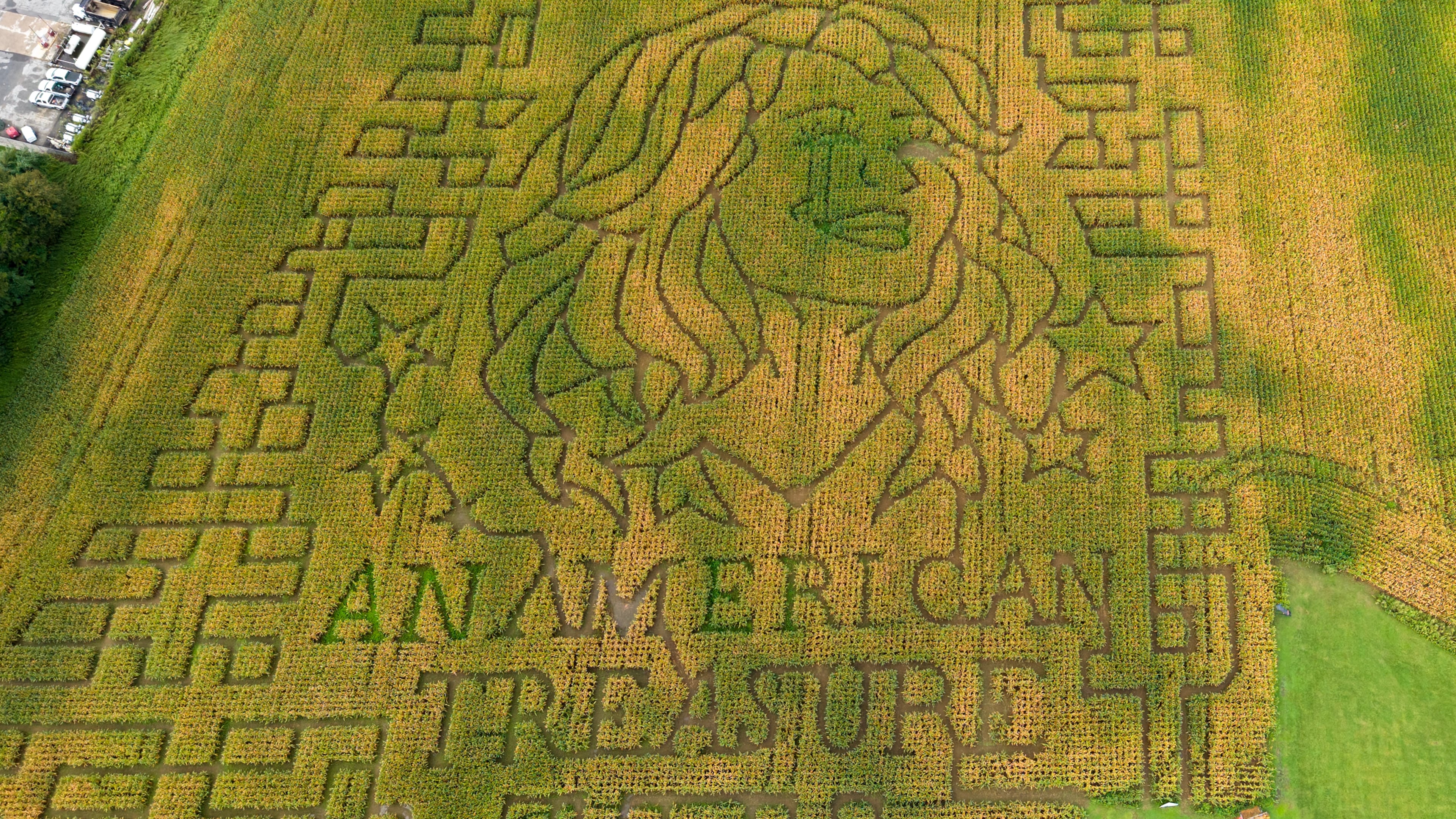 A portrait of Dolly Parton fills a 5-acre corn maze at Twins BBQ Co. in Brookfield, Conn., on Sunday, Sept. 13, 2026. (AP Photo/Ted Shaffrey)