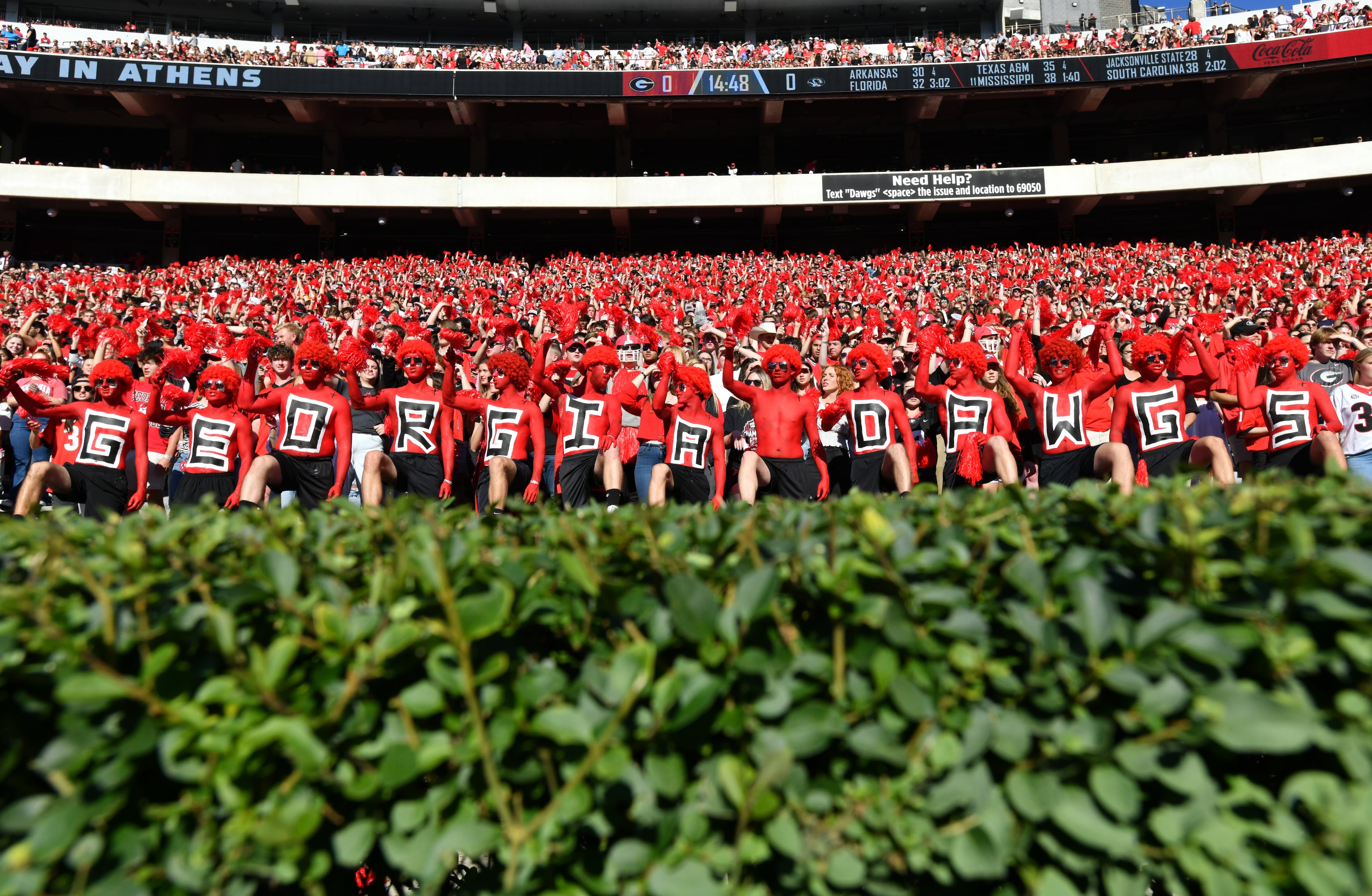 Georgia fans cheer before an NCAA football game against Missouri at Sanford Stadium, Saturday, November 4, 2023, in Athens. Georgia won 30-21 over Missouri. (Hyosub Shin / Hyosub.Shin@ajc.com)