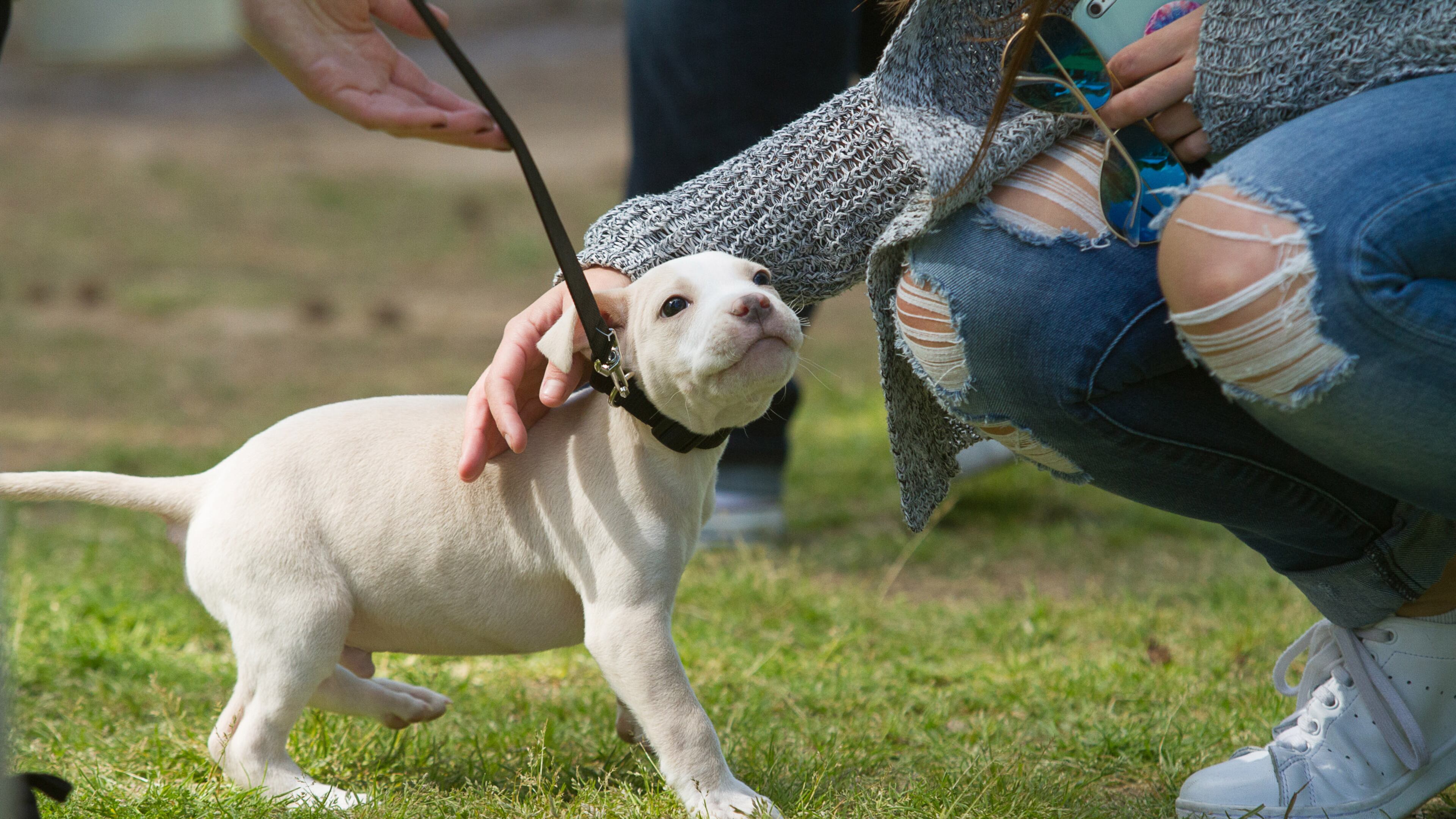 STEVE SCHAEFER / SPECIAL TO THE AJC